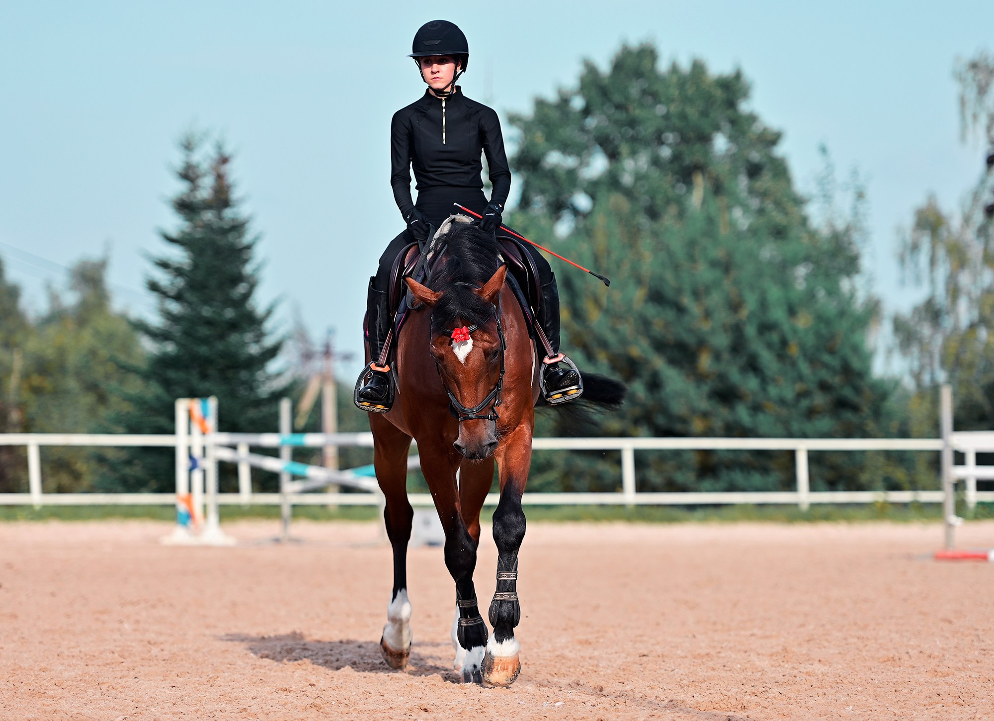 Тренировки. Конный фотограф Alesya Safe