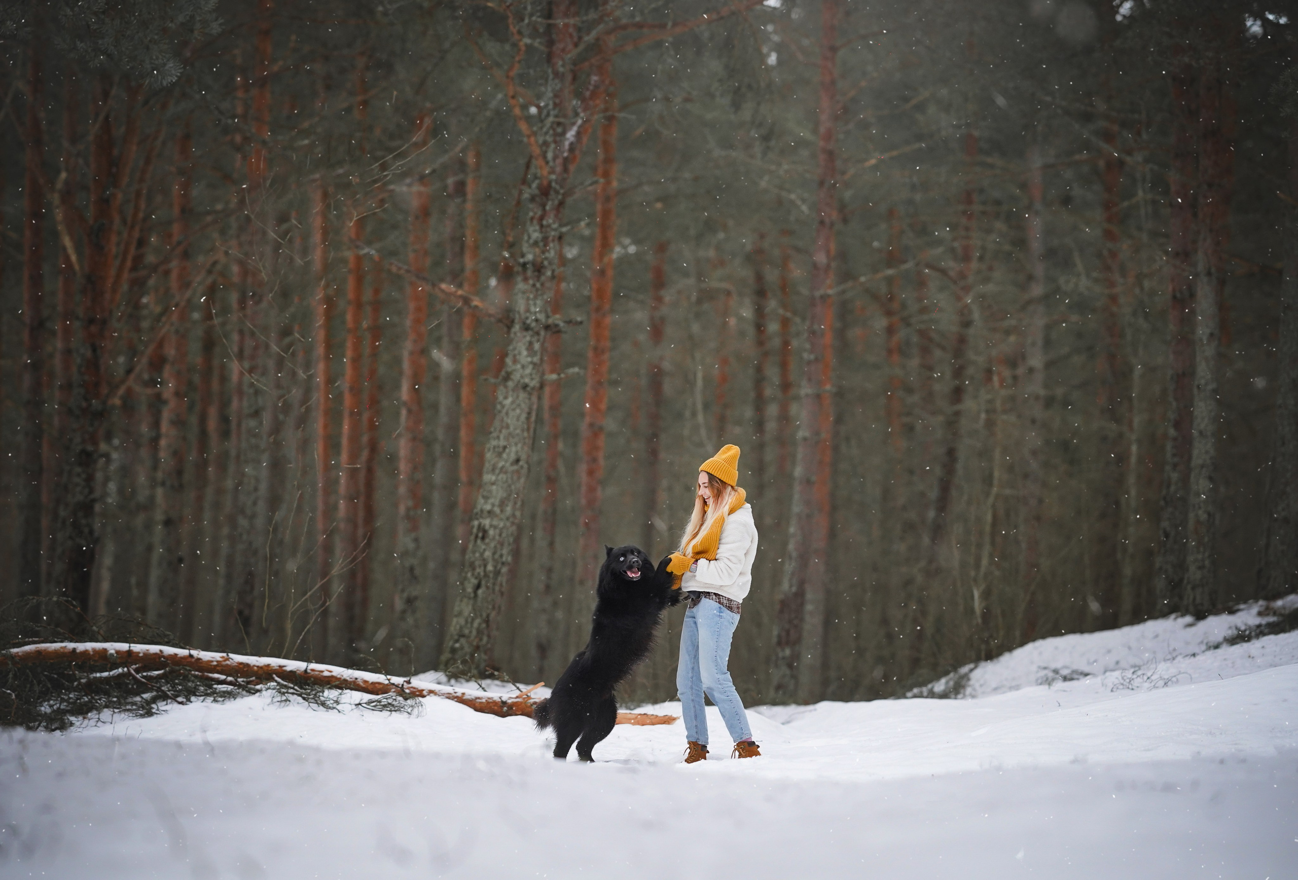 Лора Джанго и Хэппи. Фотограф-анималист в Санкт-Петербурге Яна Мартынова