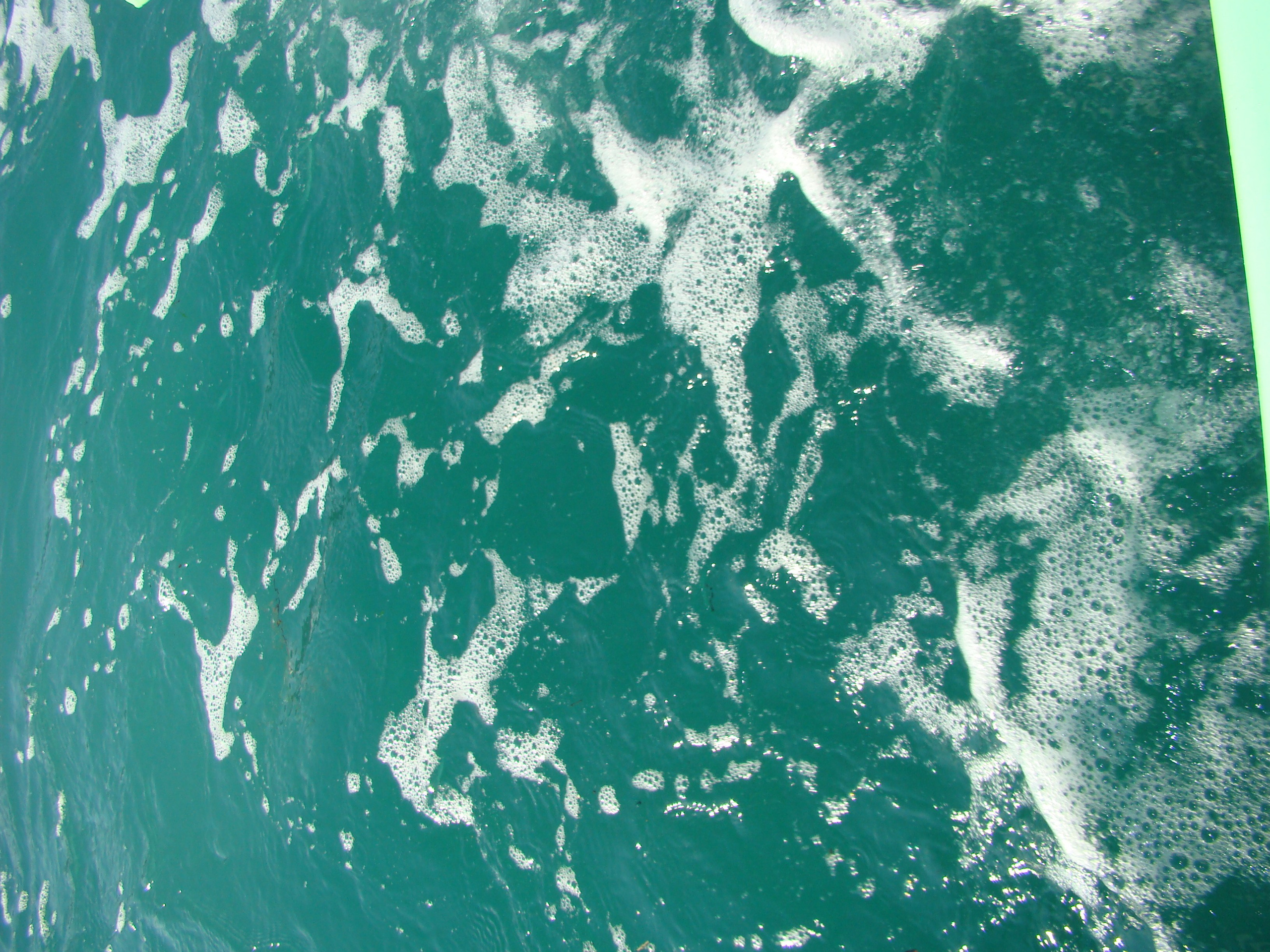 Кабардинка (фото Зевиных) 25.06-24.07.2008. Семейный, Свадебный фотограф СПБ Питер— Романова Екатерина