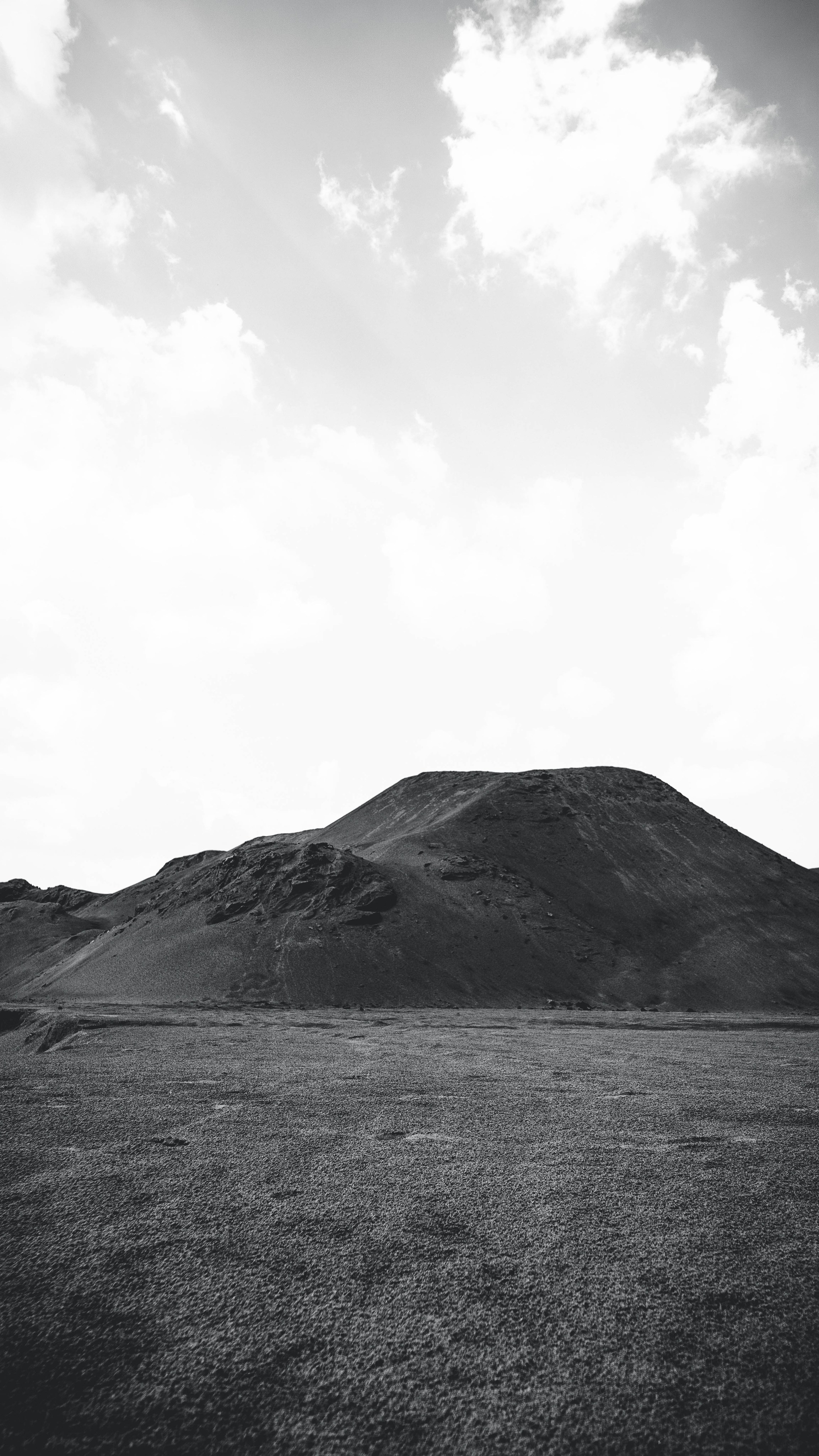 Natural Noir. Whoii art