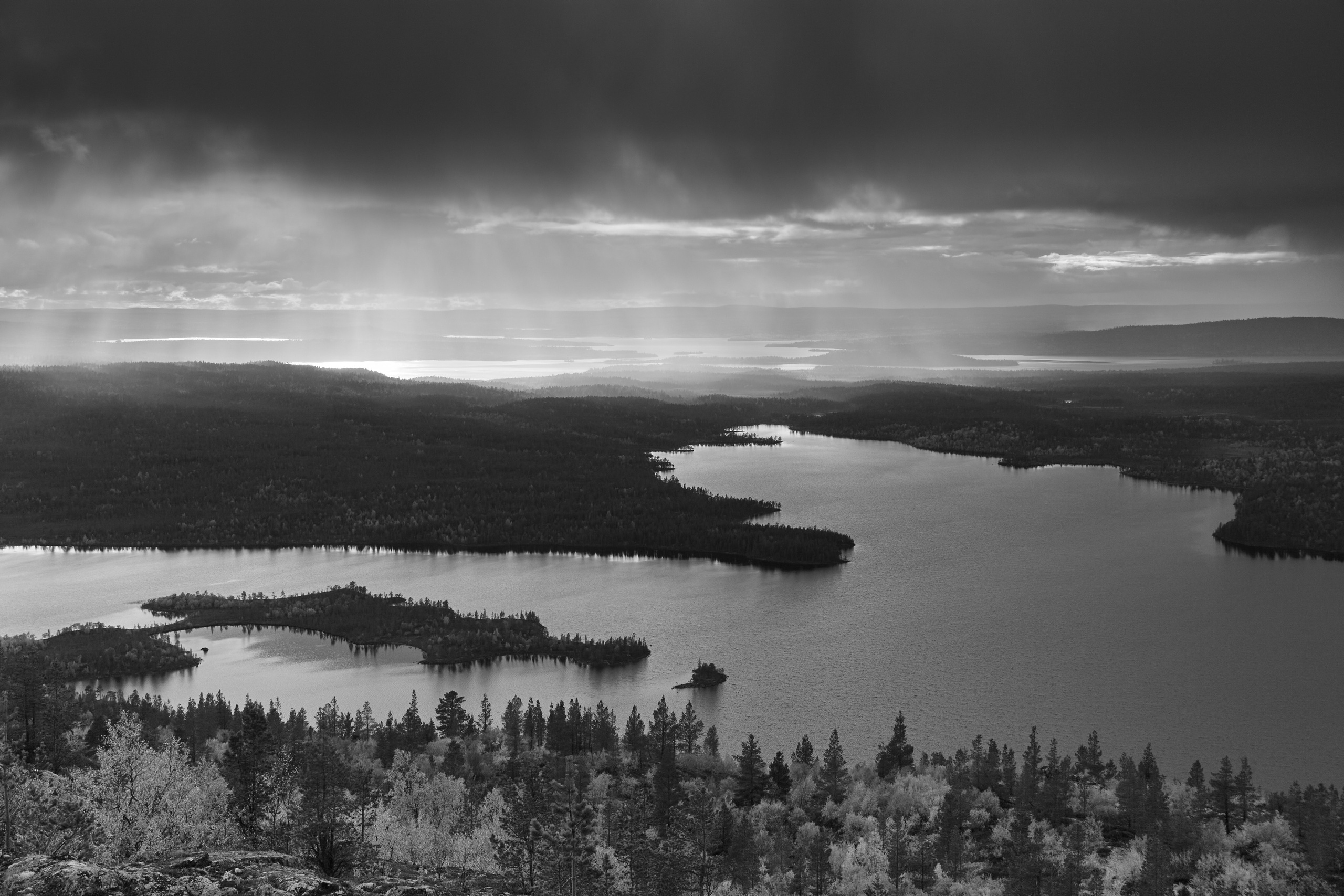 Тундра Лес и Сопки. Пейзажи Крайнего Севера. Баренцево море, Рыбачий, Средний, Немецкий