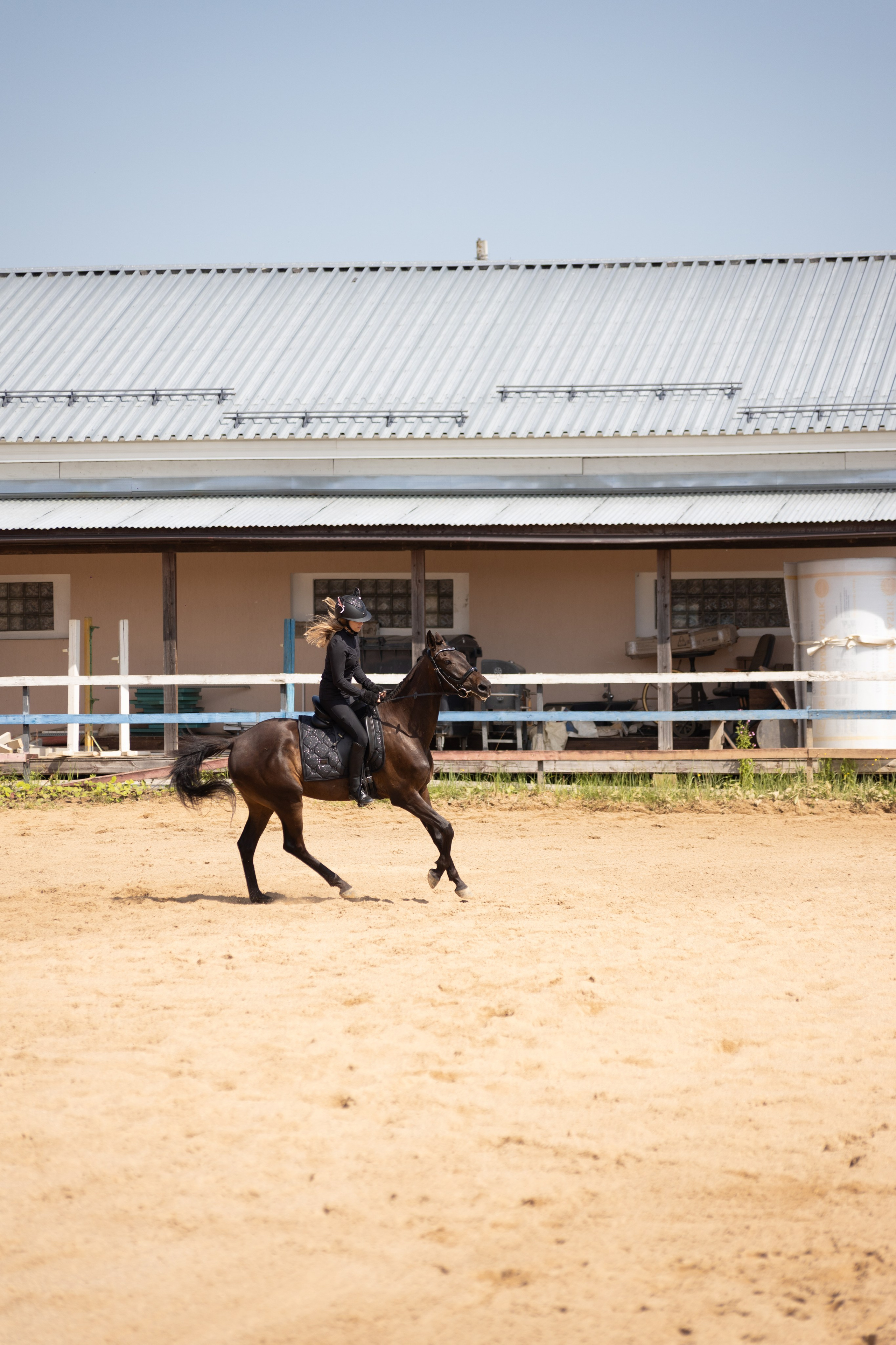 Конюшня. Фотограф в Москве и Истре