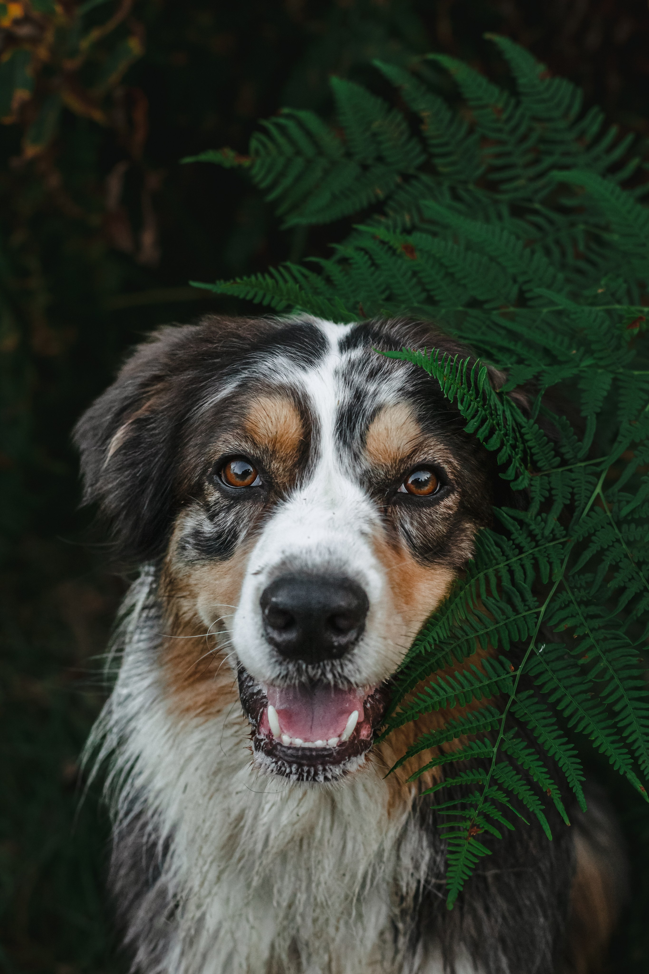 Фотопрогулка в Ленобласти. Фотограф-анималист Татьяна Степанова