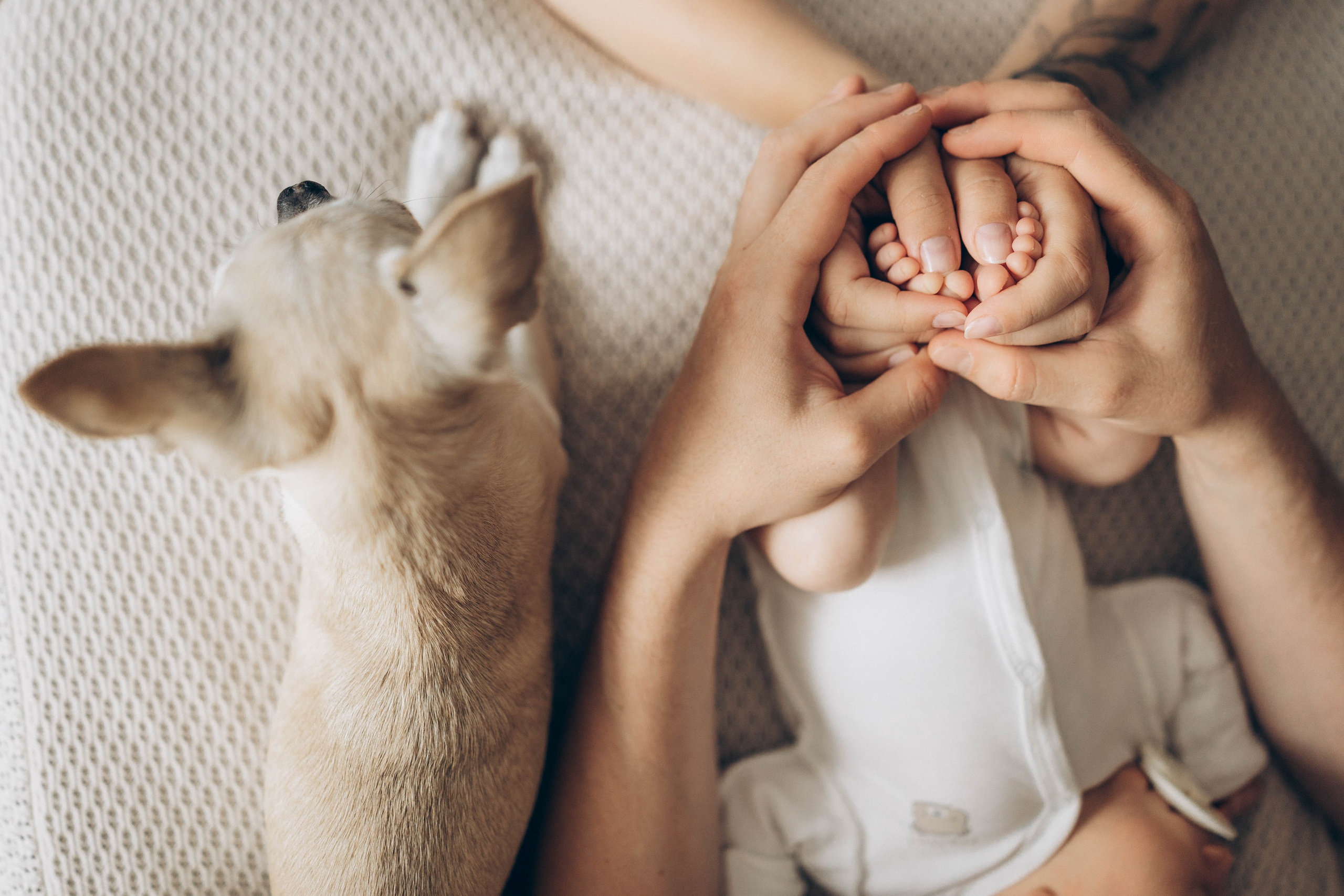 Малыш Влад. Семеный, Детский, Love story фотограф
