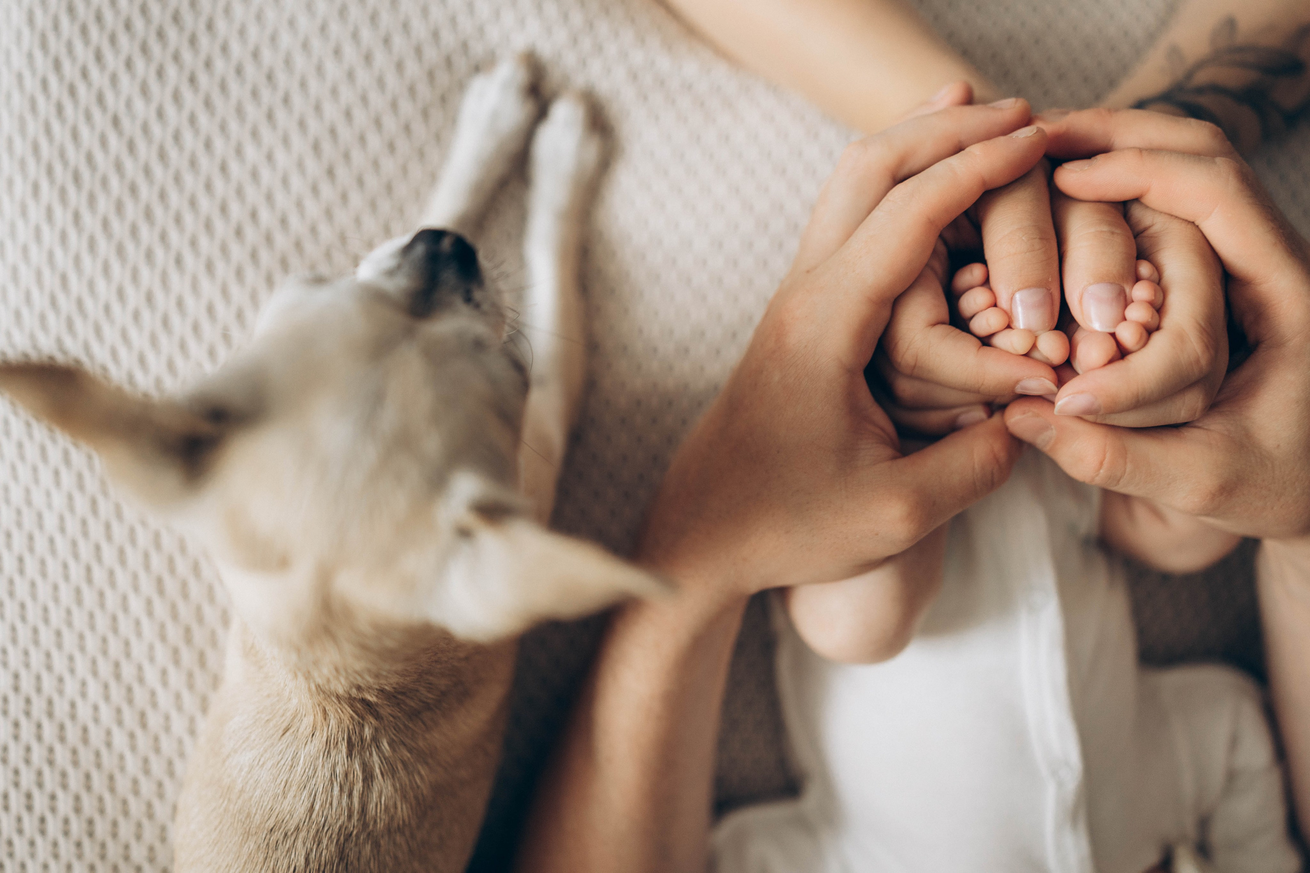 Малыш Влад. Семеный, Детский, Love story фотограф
