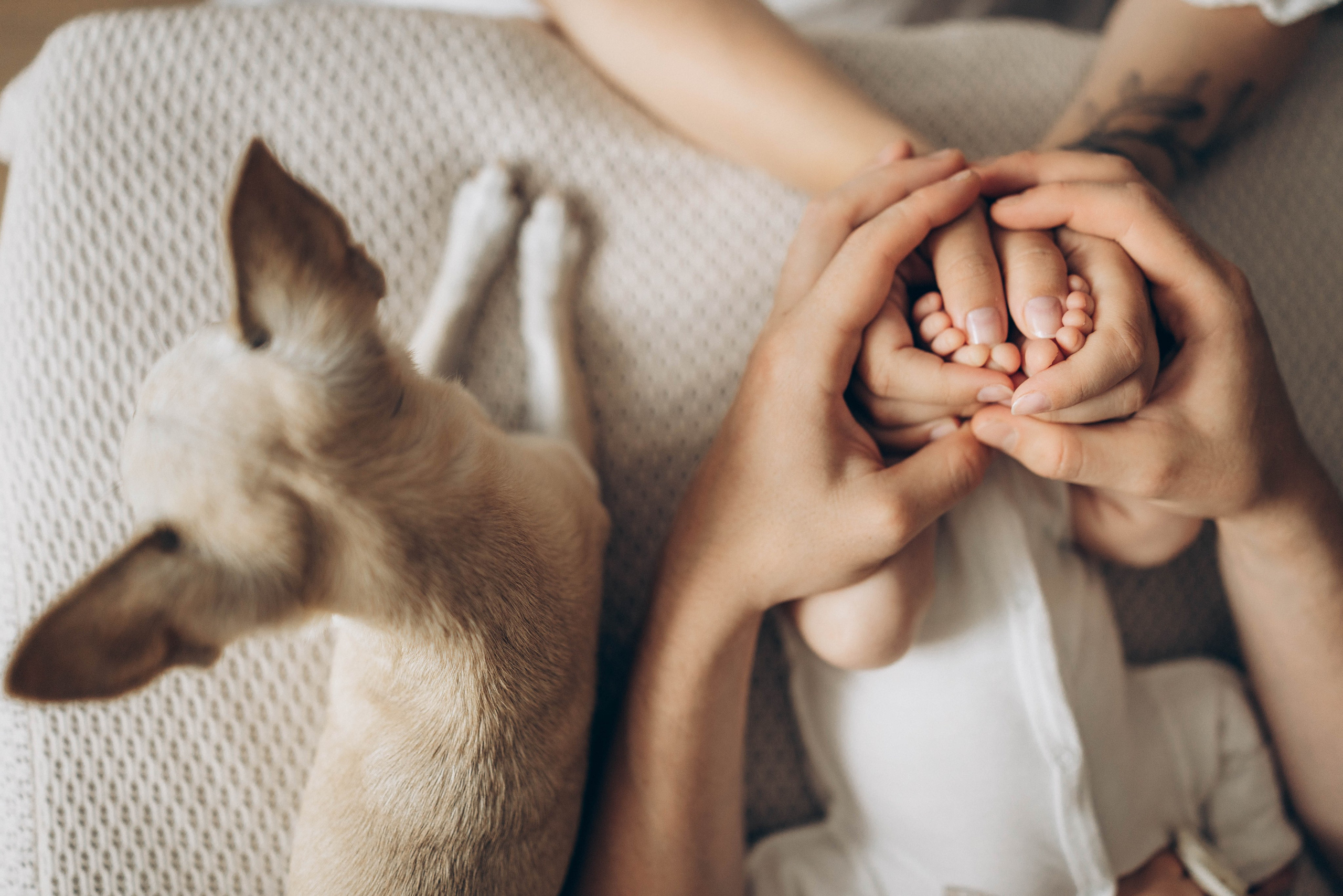 Малыш Влад. Семеный, Детский, Love story фотограф