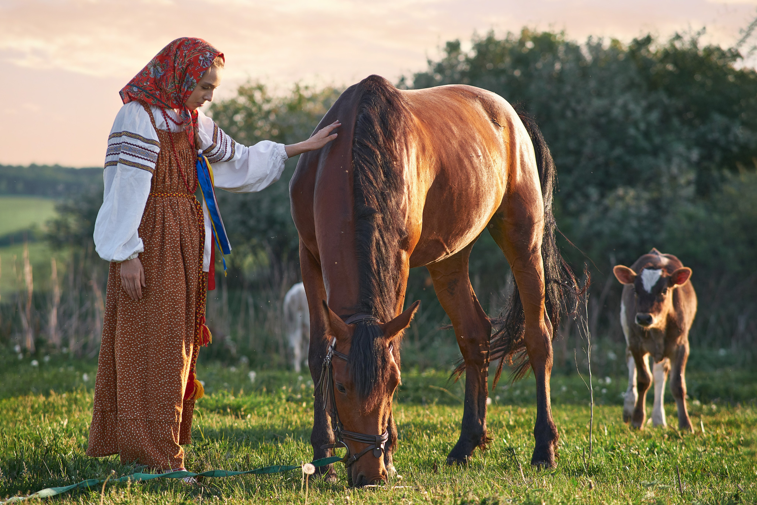 С лошадьми. Семейный и портретный фотограф в Новомосковске и Узловой Михеева Татьяна