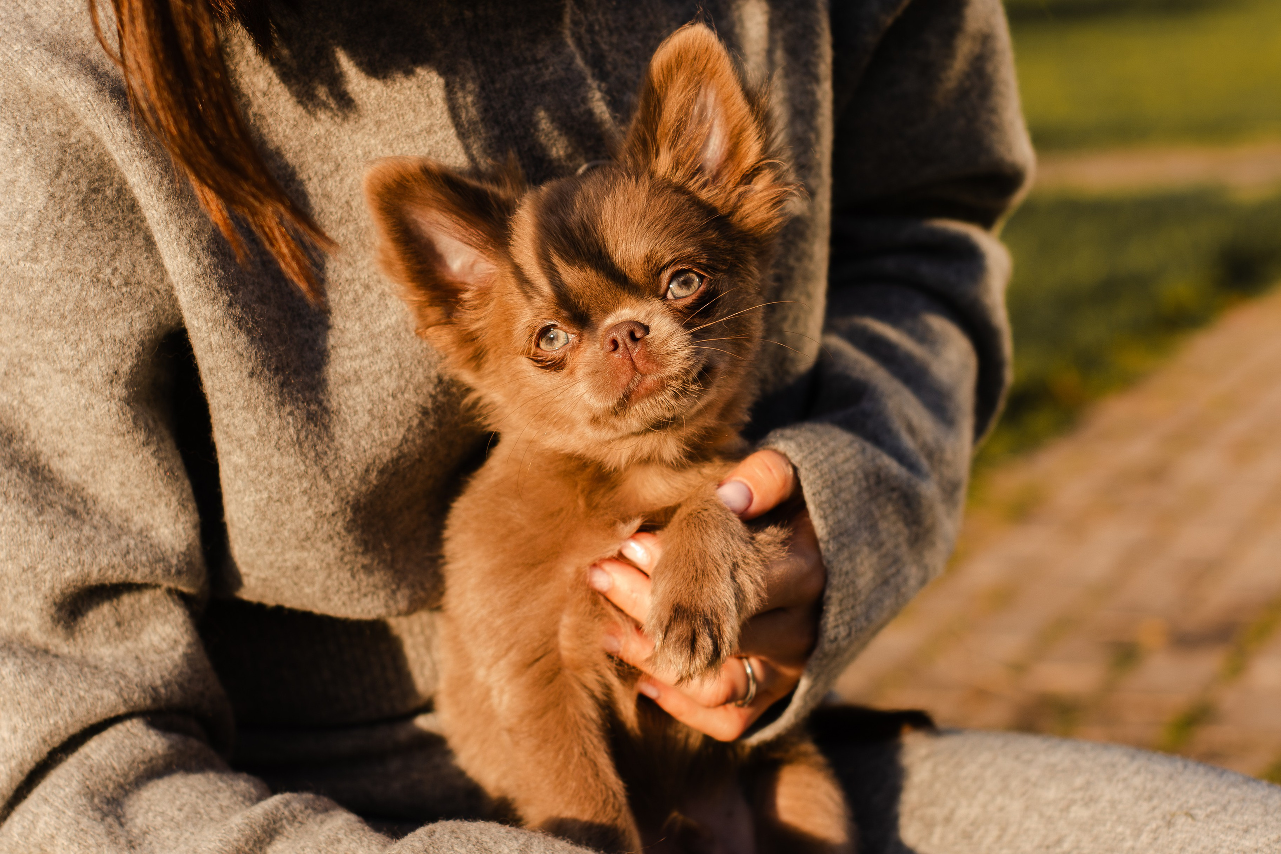 Варя и Фунтик. Фотограф-анималист Мария Баркевич | Москва