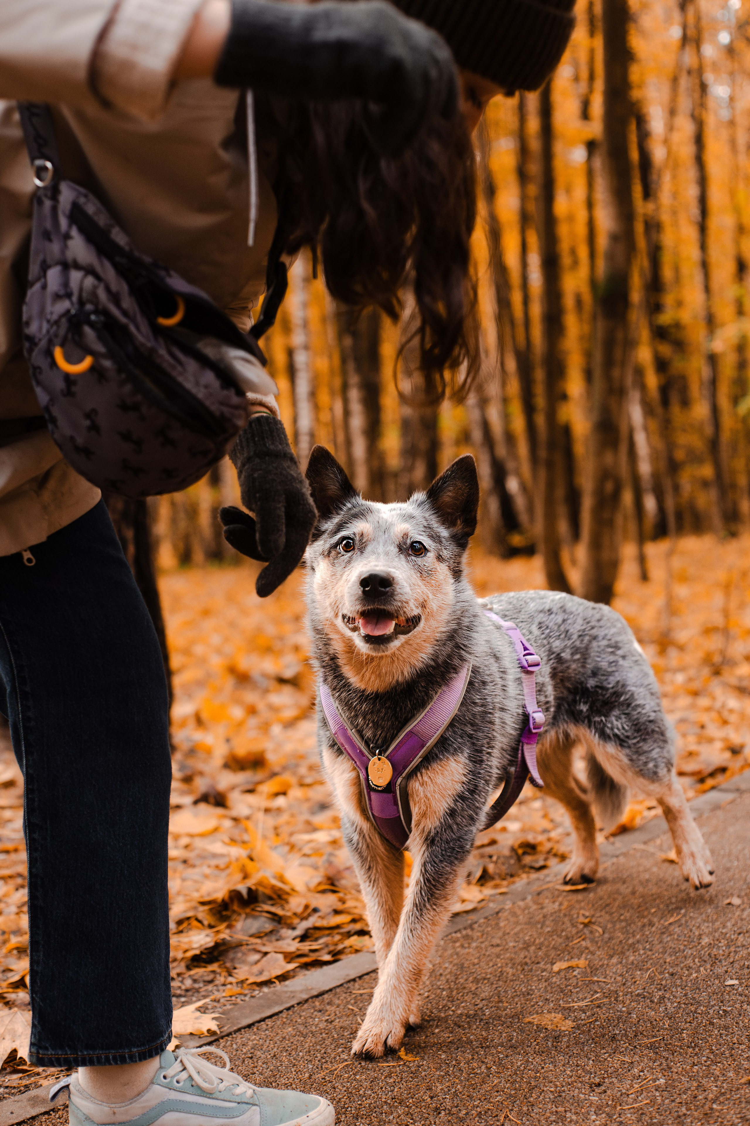 Юля, Антон и Лу. Фотограф-анималист Мария Баркевич | Москва