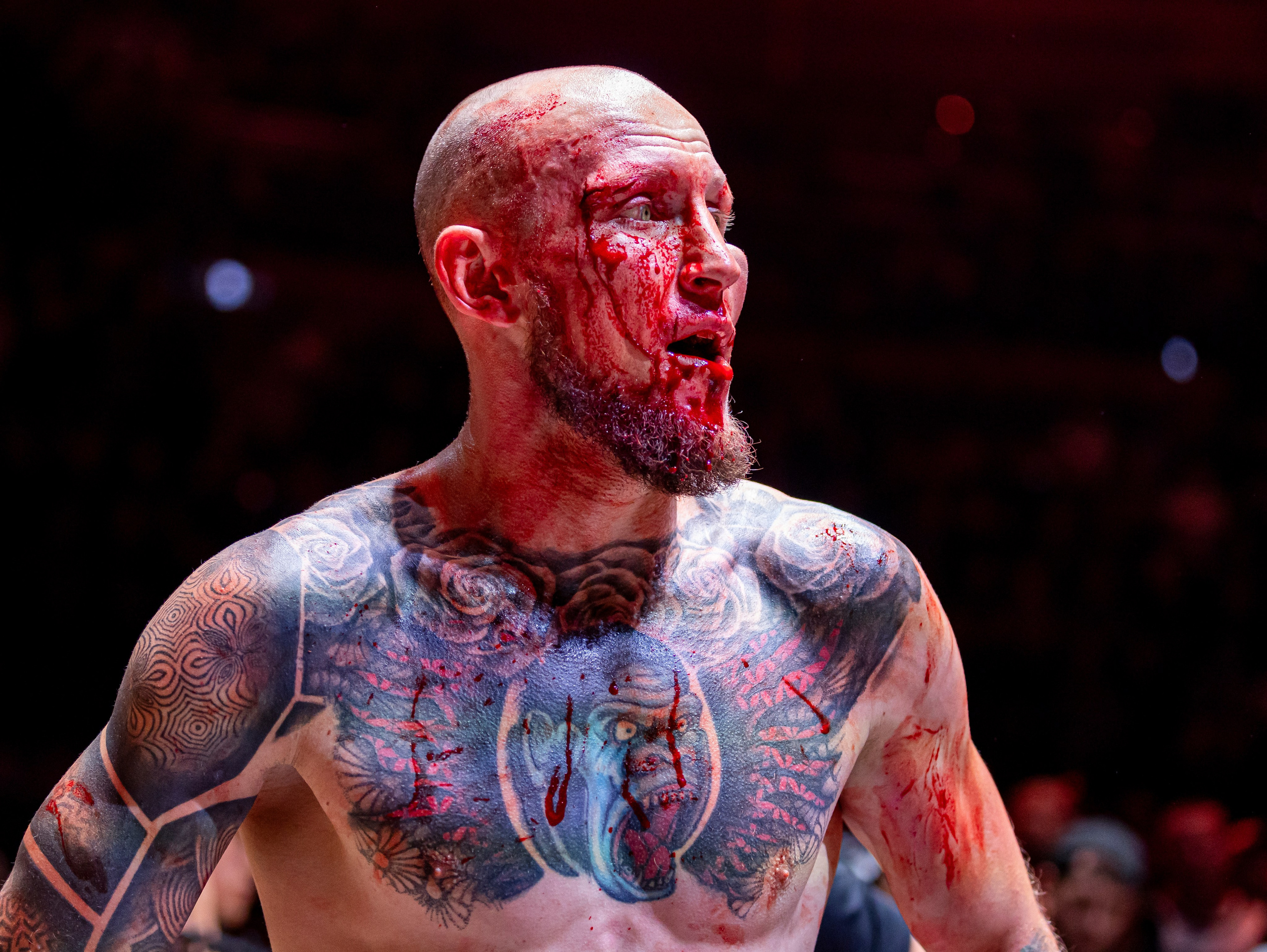 Кулачные бои. Спортивный фотограф Серёжа Демченко