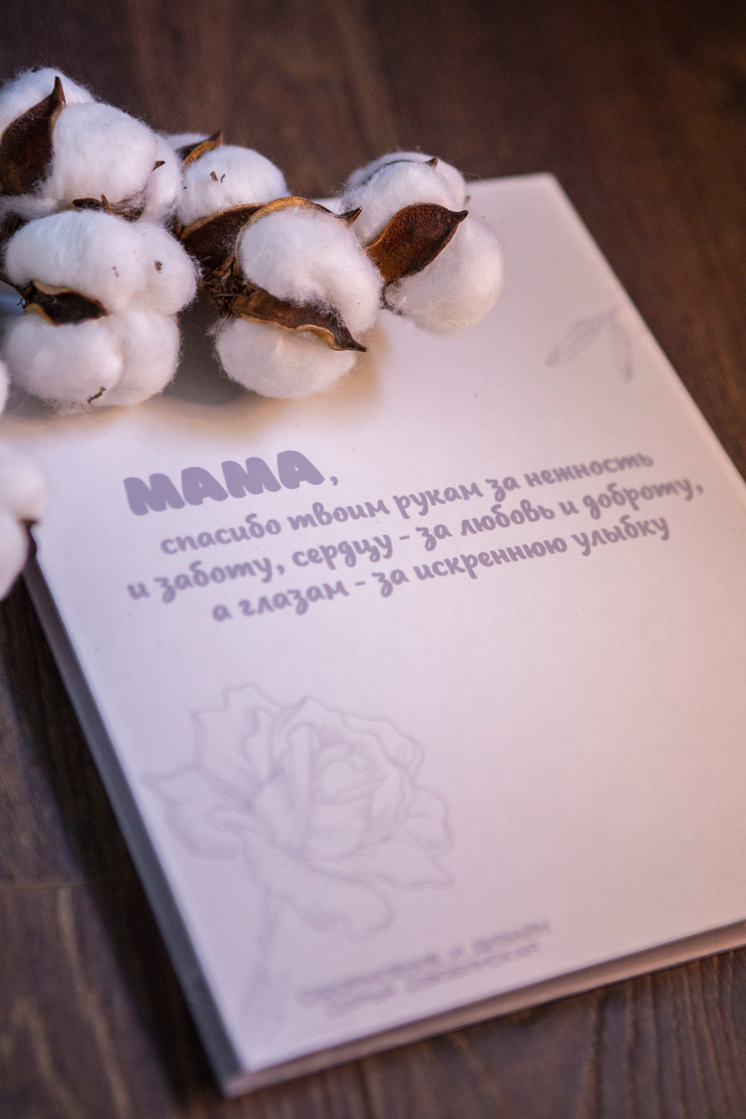 Книги Фабрика. Семейный фотограф Дарья Дзюбинская Раевская Анапа Новороссийск