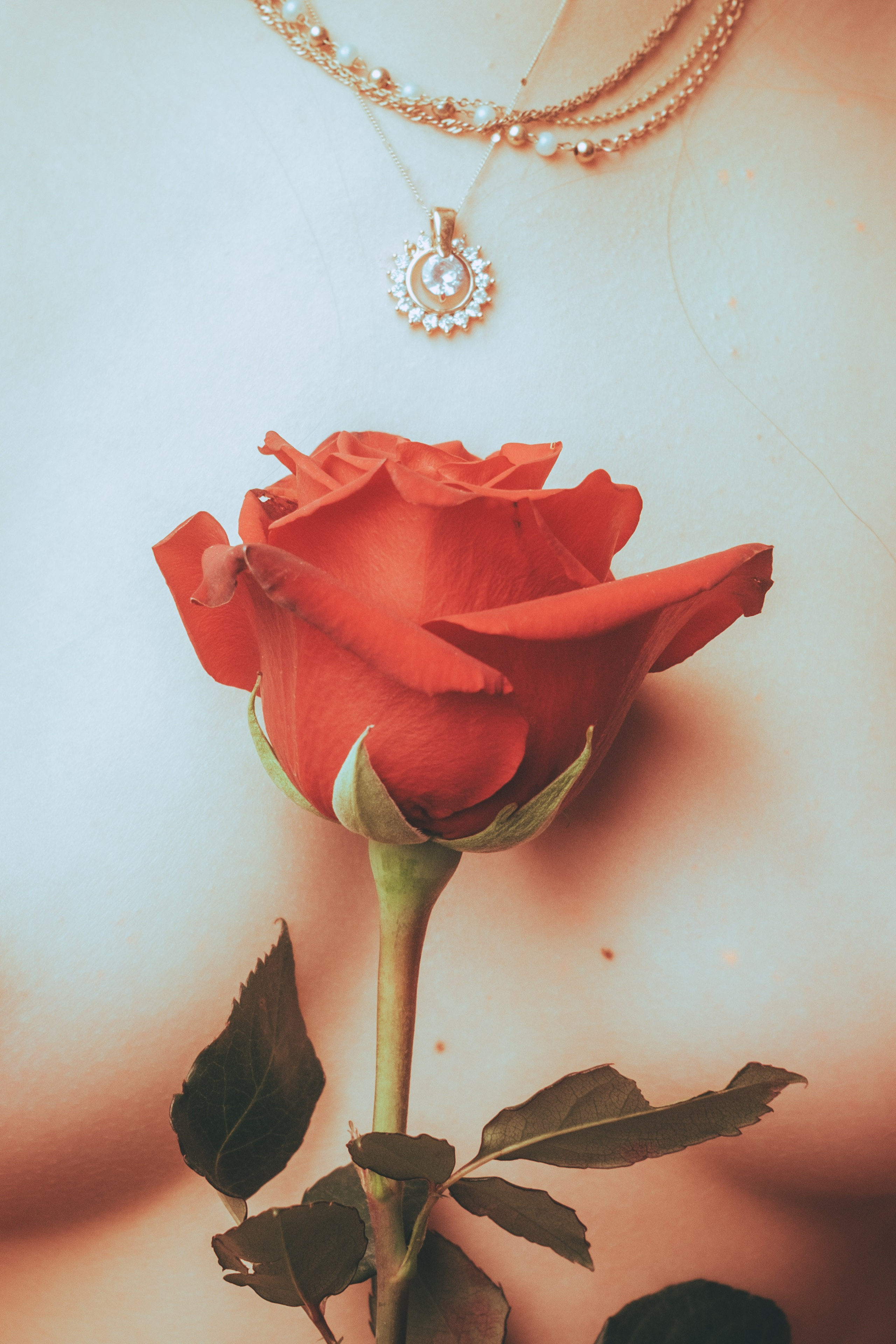 Яна. Фотограф в Москве Максим Скоробогатов