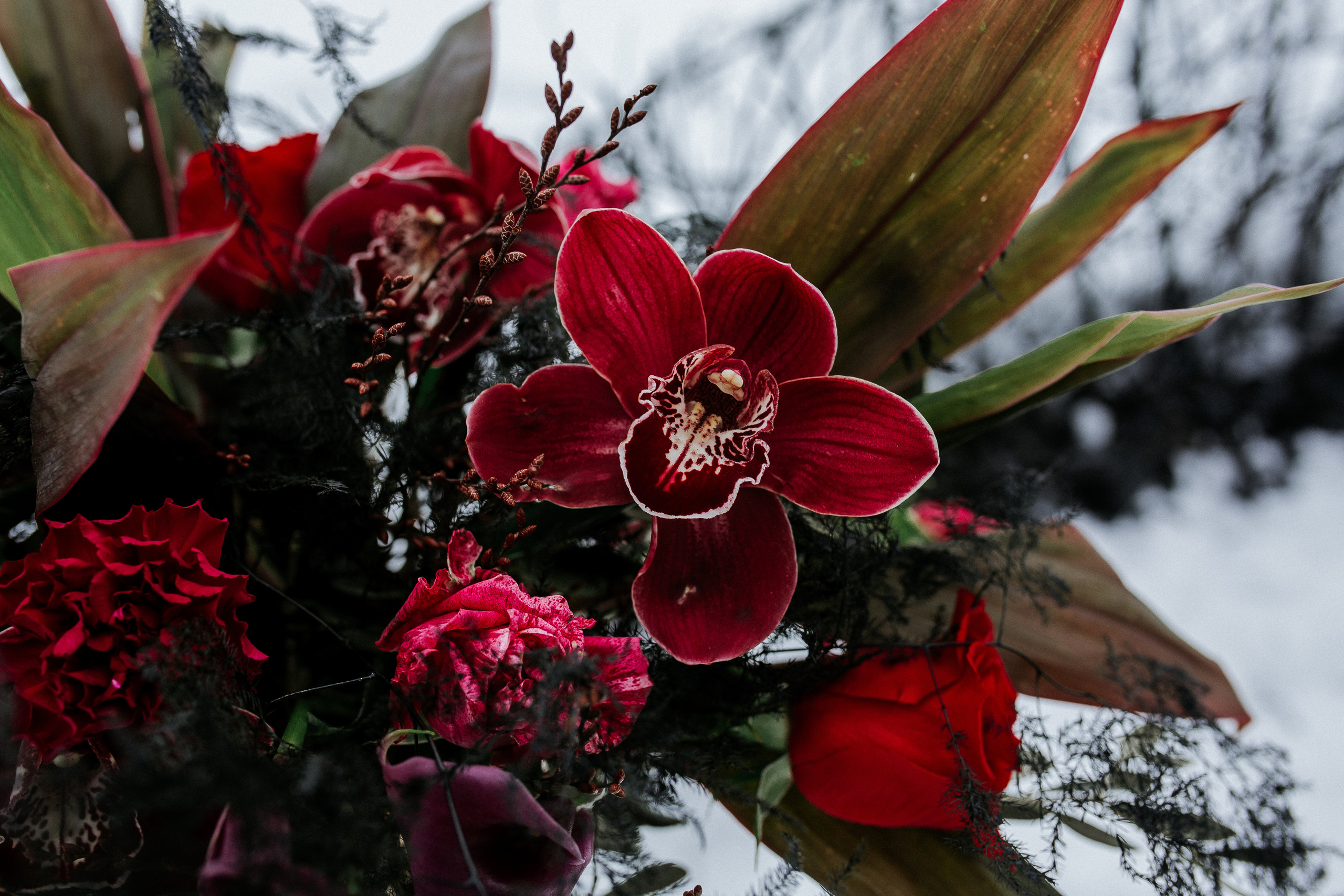 Чёрное золото I 2019. Свадебный, семейный фотограф в Дзержинске, Нижнем Новгороде Наталья Хр