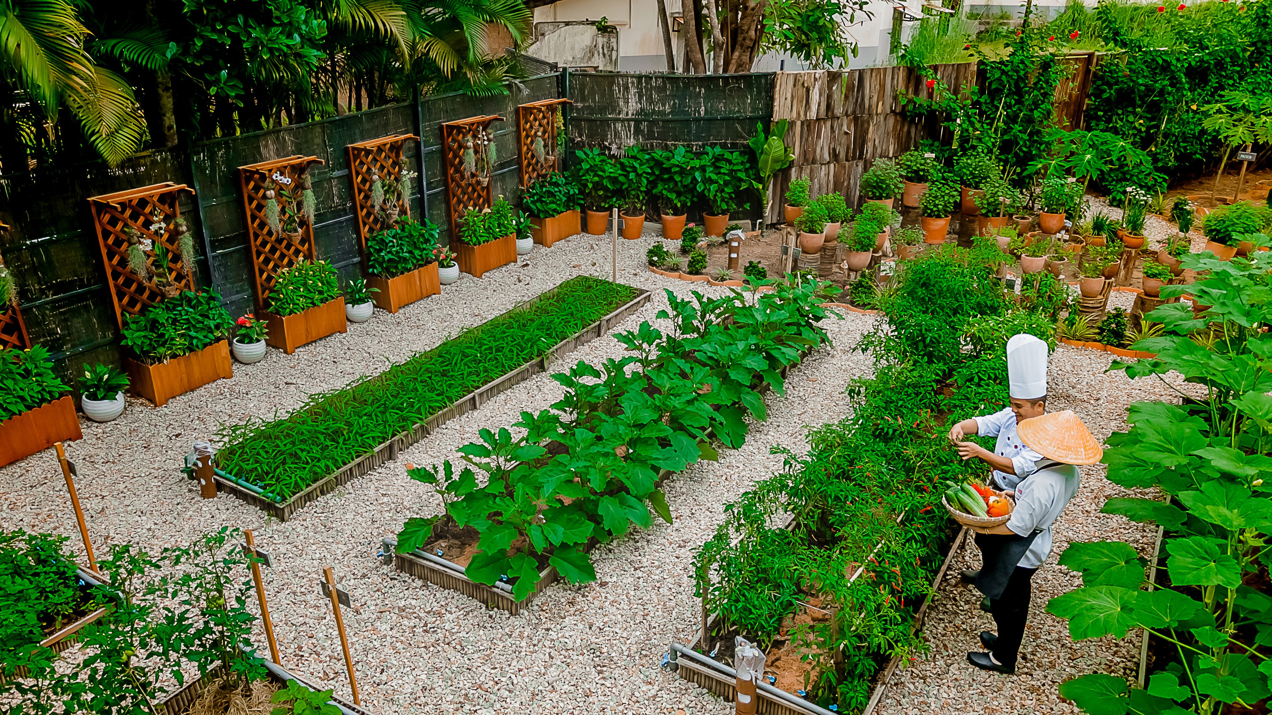 Репортажный фотограф Ялта. Репортажный фотограф Ялта