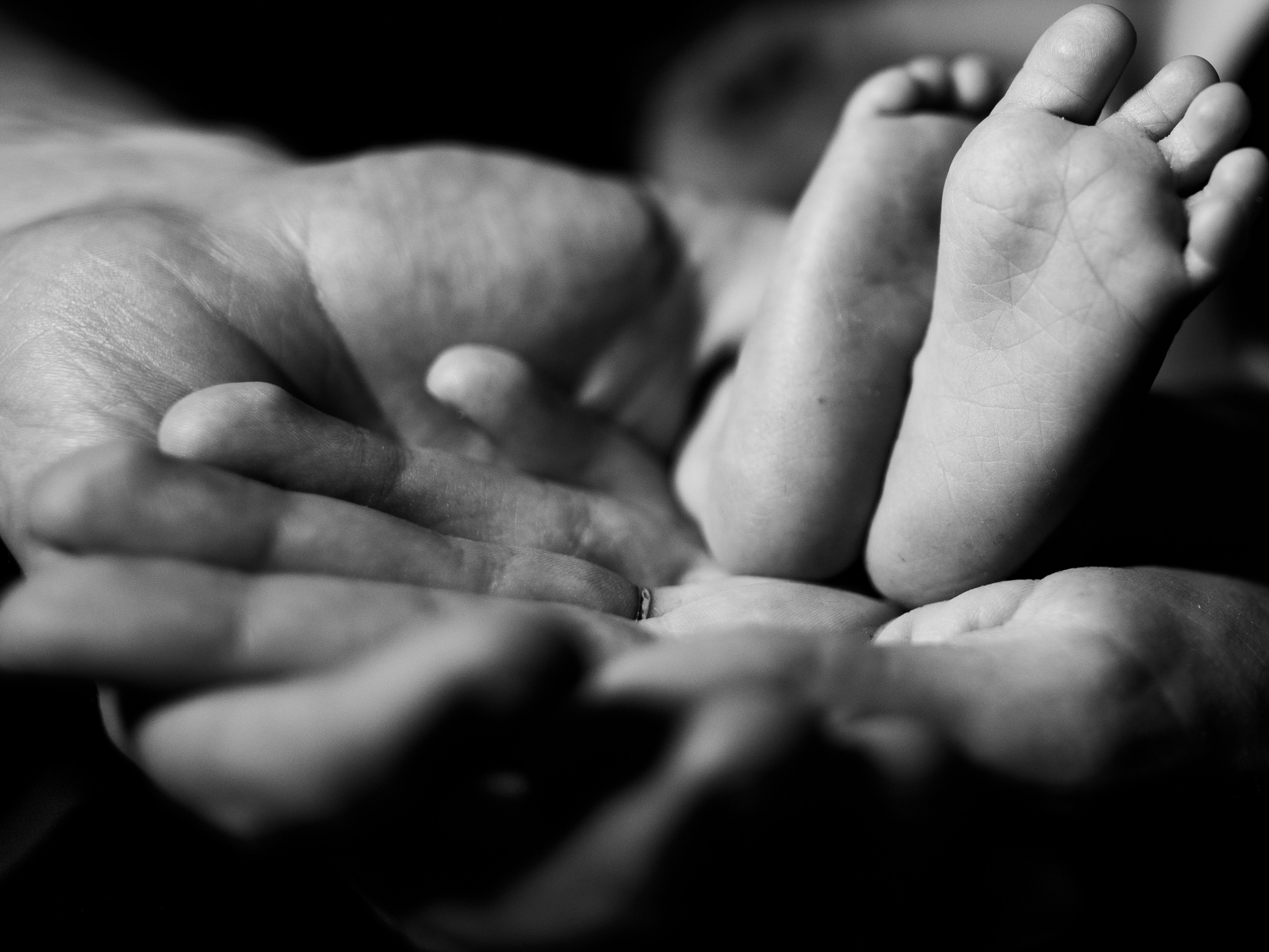 Малыши домашняя съемка. Видеограф и фотограф в Москве Анастасия Рябчикова