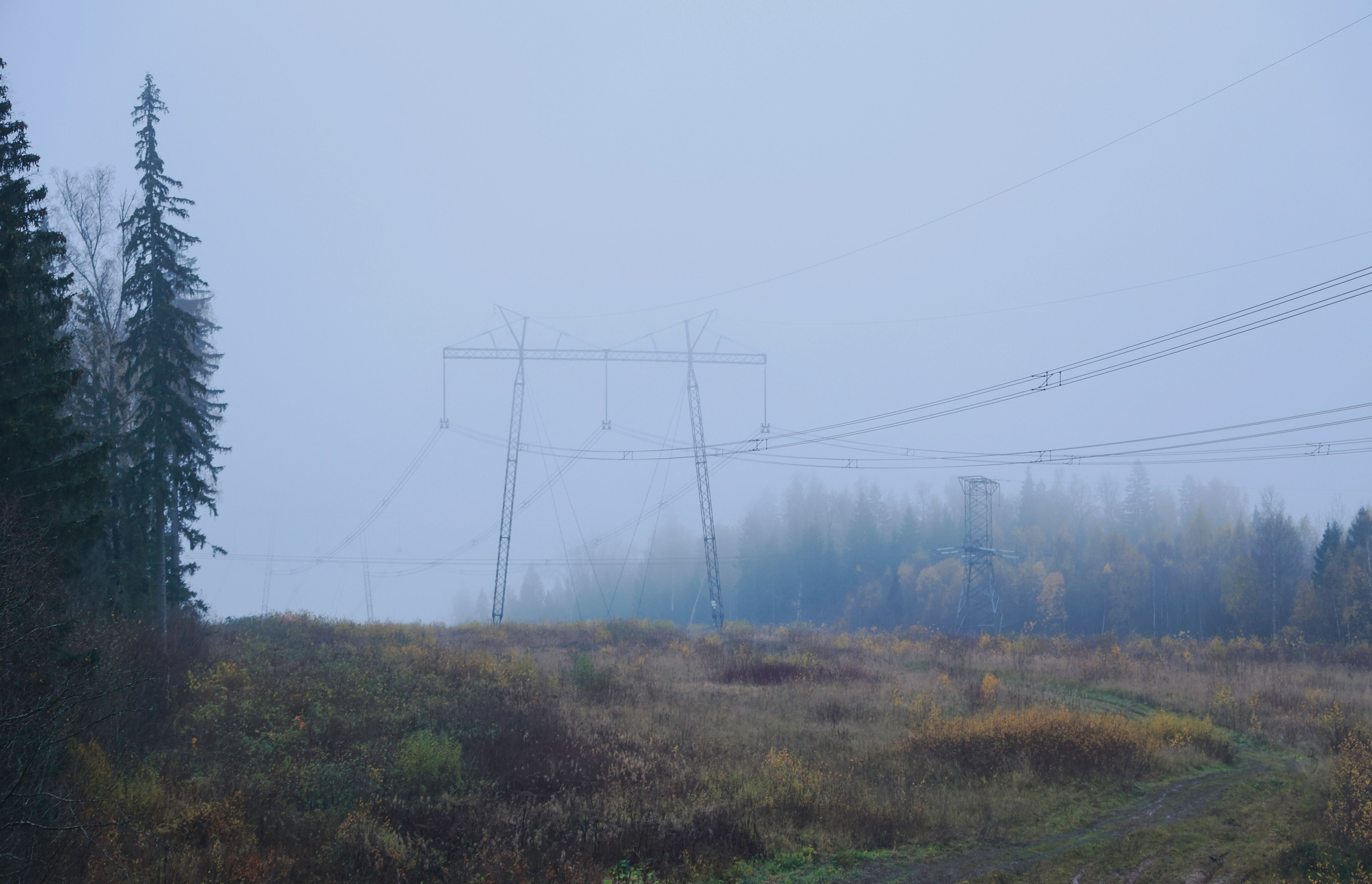 Сумерки. Елизавета Ковалевская — ваш профессиональный фотограф