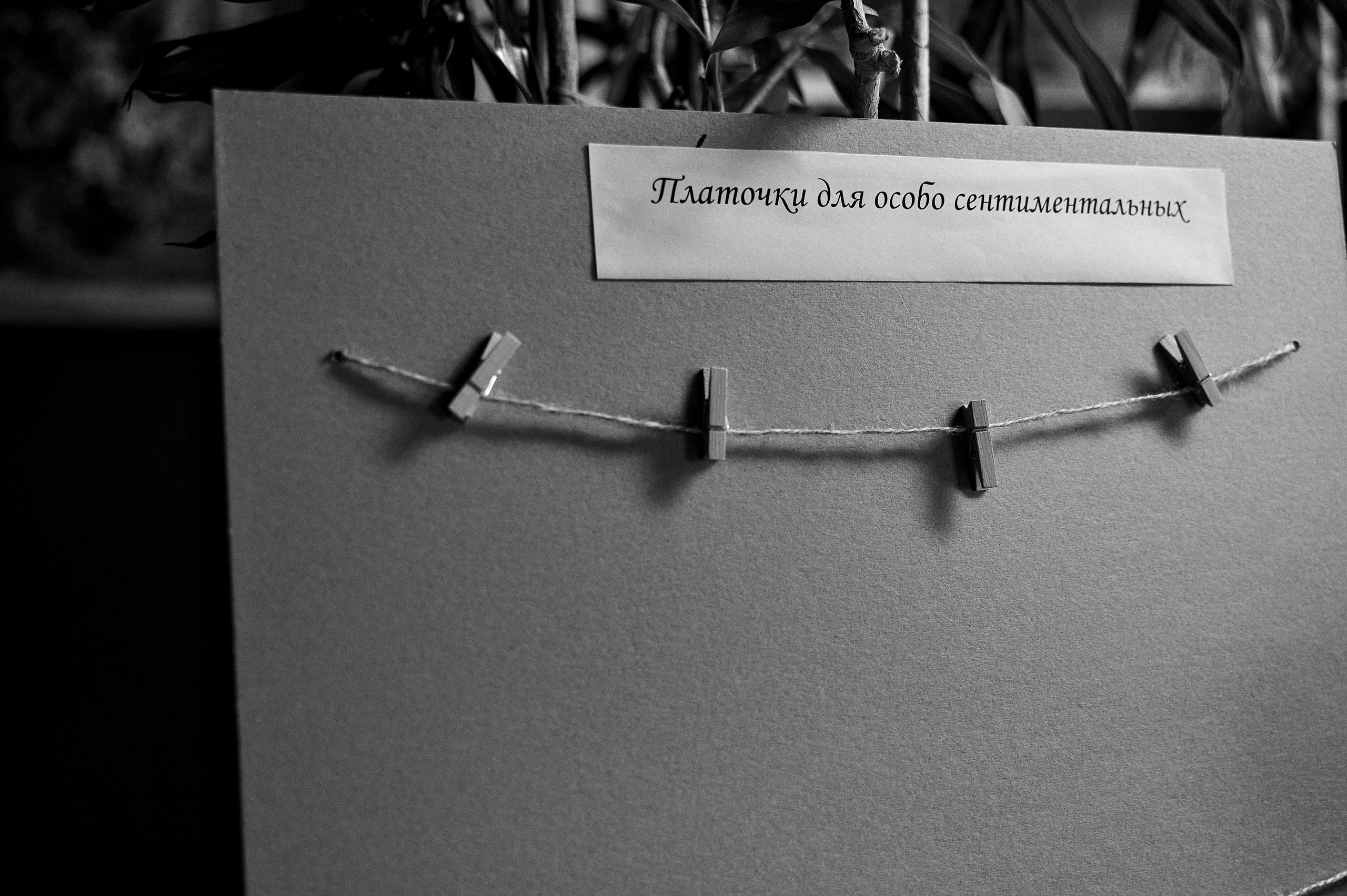 Свадебная съемка Брянск Москва Свадебный фотограф фотограф на свадьбу  фотограф Орел. Свадебный и портретный фотограф в Брянске Скепская Лилия