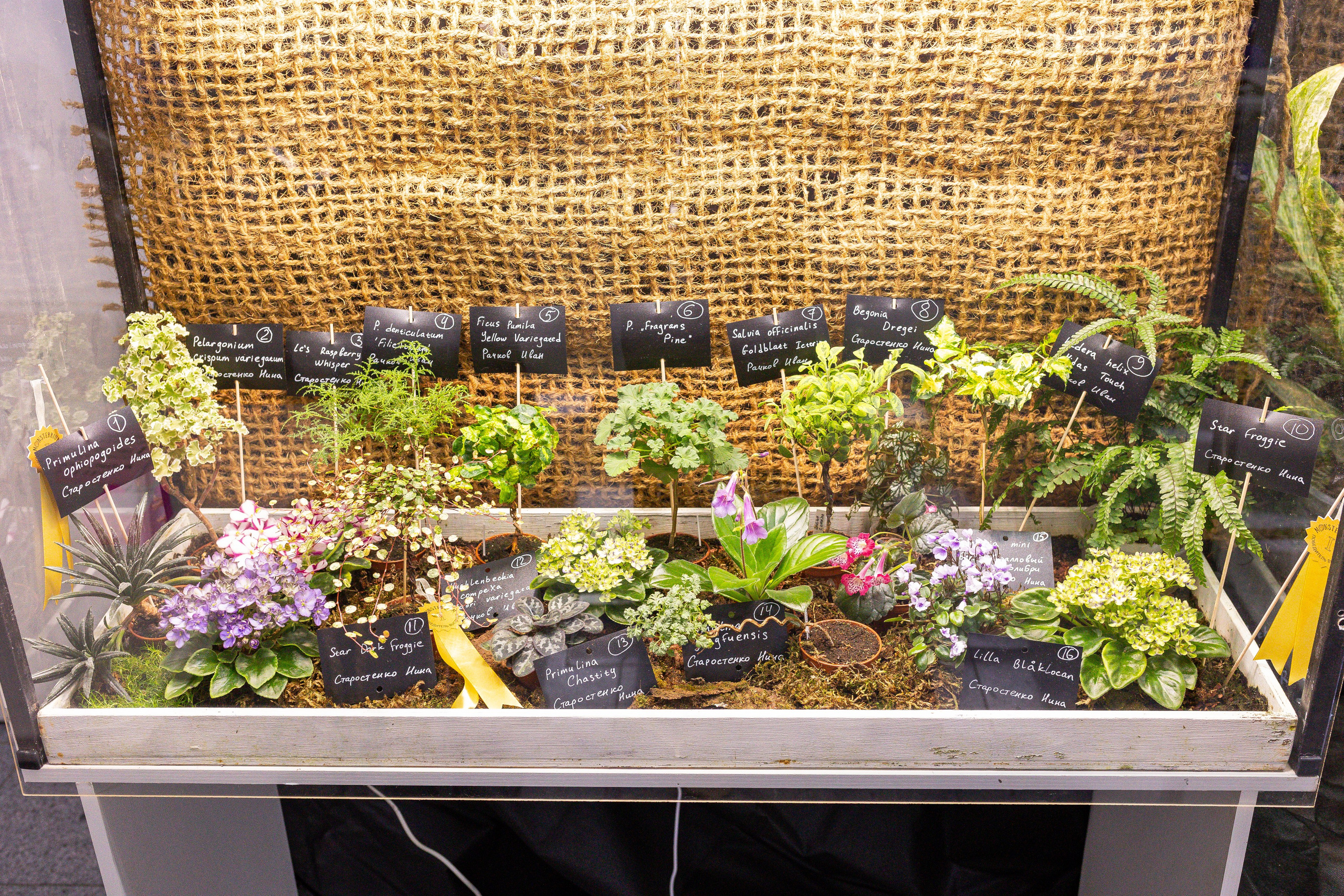 Монстериум апрель 2025. Александра Куликова фотограф, Москва