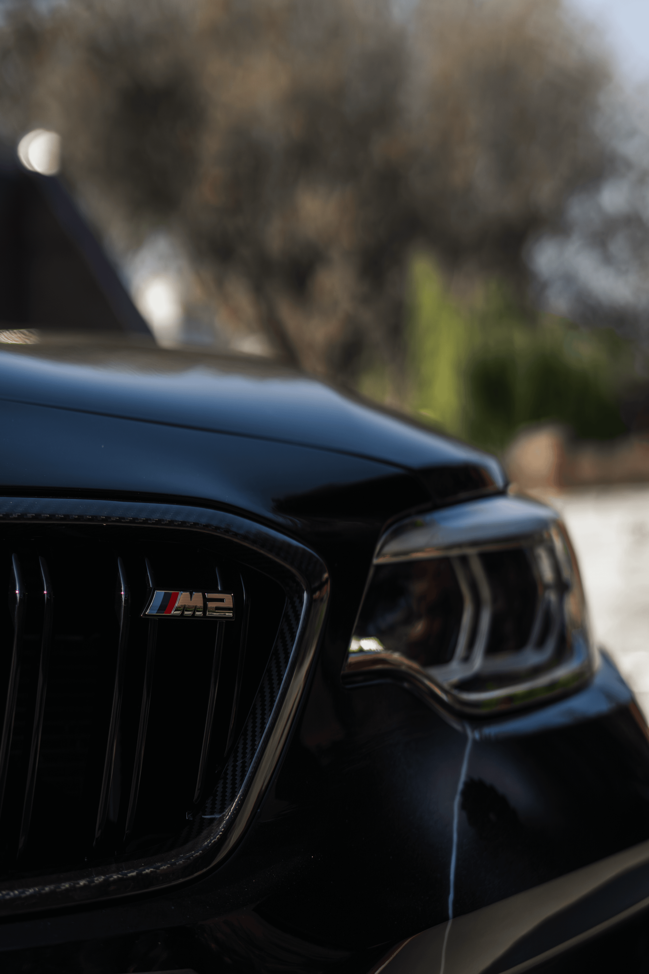 BMW M2 & M4: Competition mania