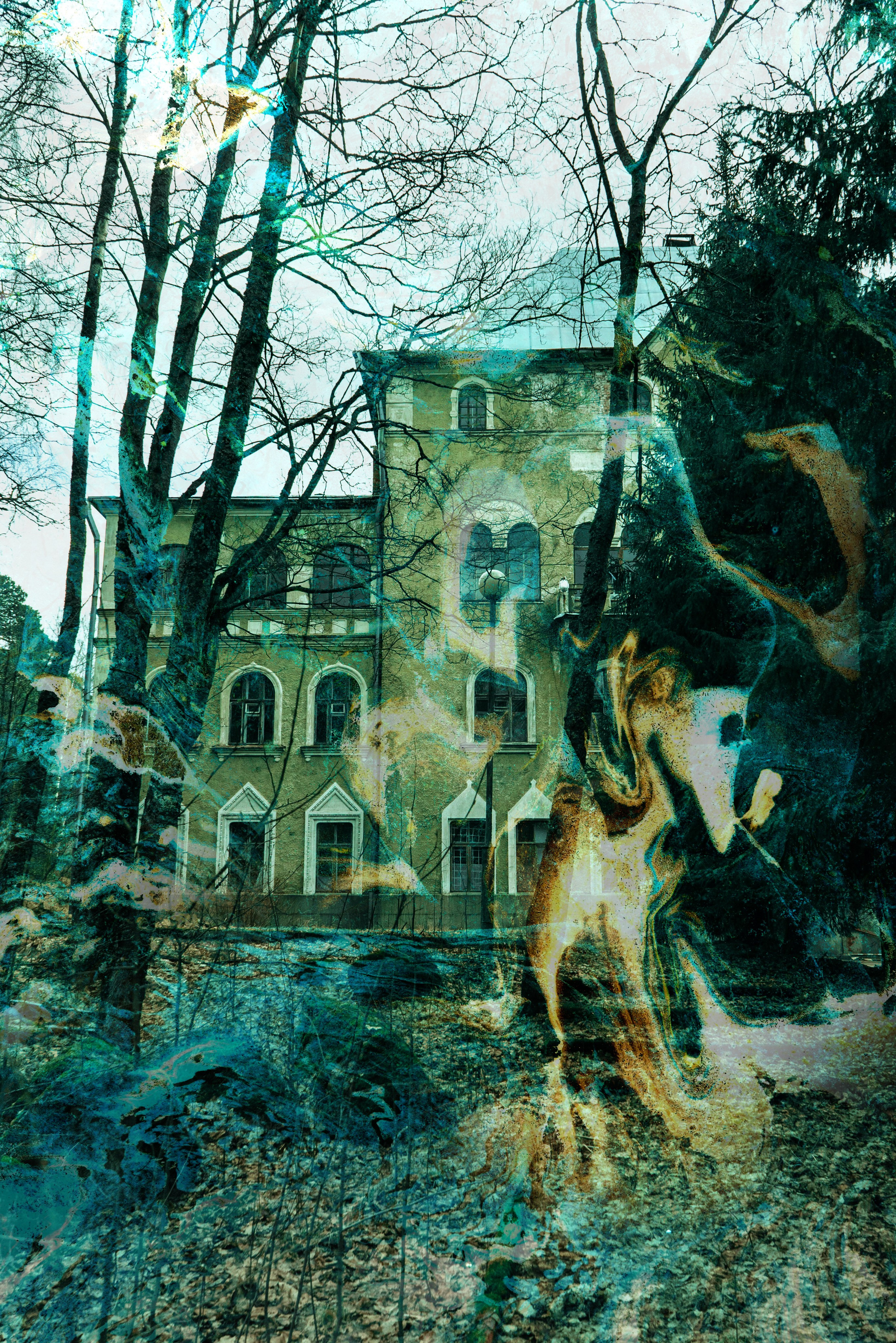 Сюрреалистическое и завораживающее изображение усадьба Марковилла, запечатленное посредством сочетания архитектурных деталей и эфирных, закрученных узоров. Наложенное изображение создает ощущение таинственности, смешивая суровые, голые деревья и величественное, но обветренное здание с призрачными, потусторонними цветами. Подчеркивается естественный упадок внешнего вида поместья, вызывая чувство заброшенности и течения времени. Эта фотография объединяет прошлое и настоящее, а жуткая атмосфера поместья добавляет ему загадочного очарования