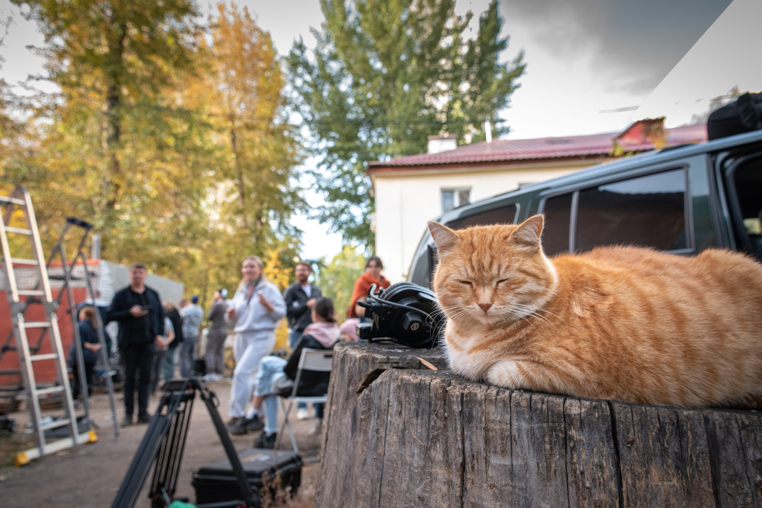 Backstage | к/м Мой гараж режиссер Владимир Сухов