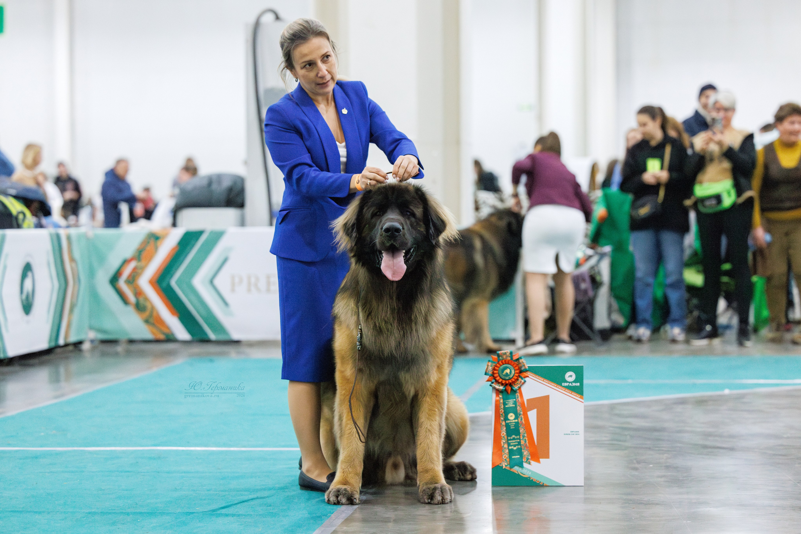 Евразия 16-17.11.2024. Фотограф-анималист Юлия Германика