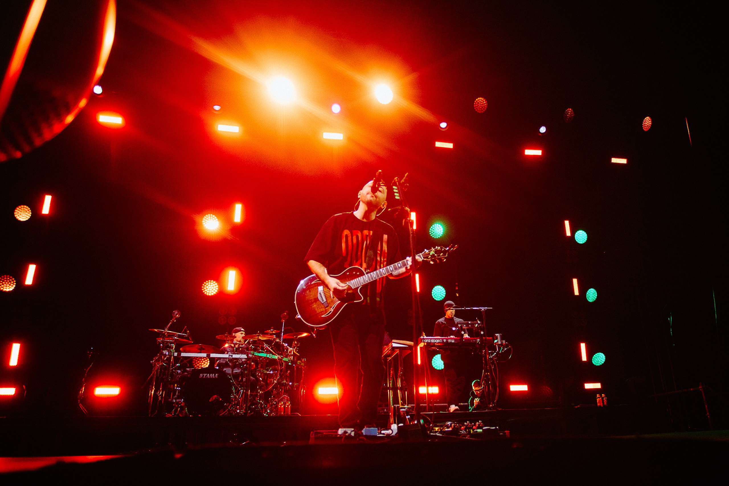 Звери 2025. Репортажный фотограф в Кемерово