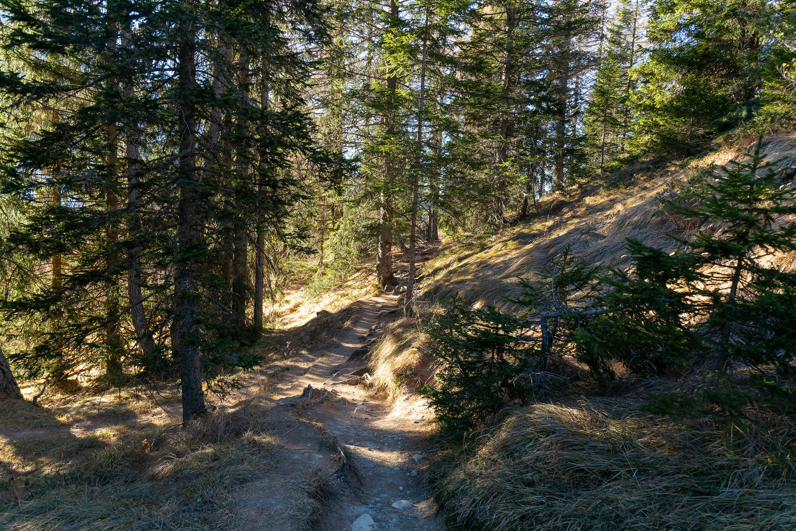 Фотосъёмка Альпы Италия, пейзажи и архитектура. «Студия DRONAVT`s» — видеосъёмка и фотография г. Москва