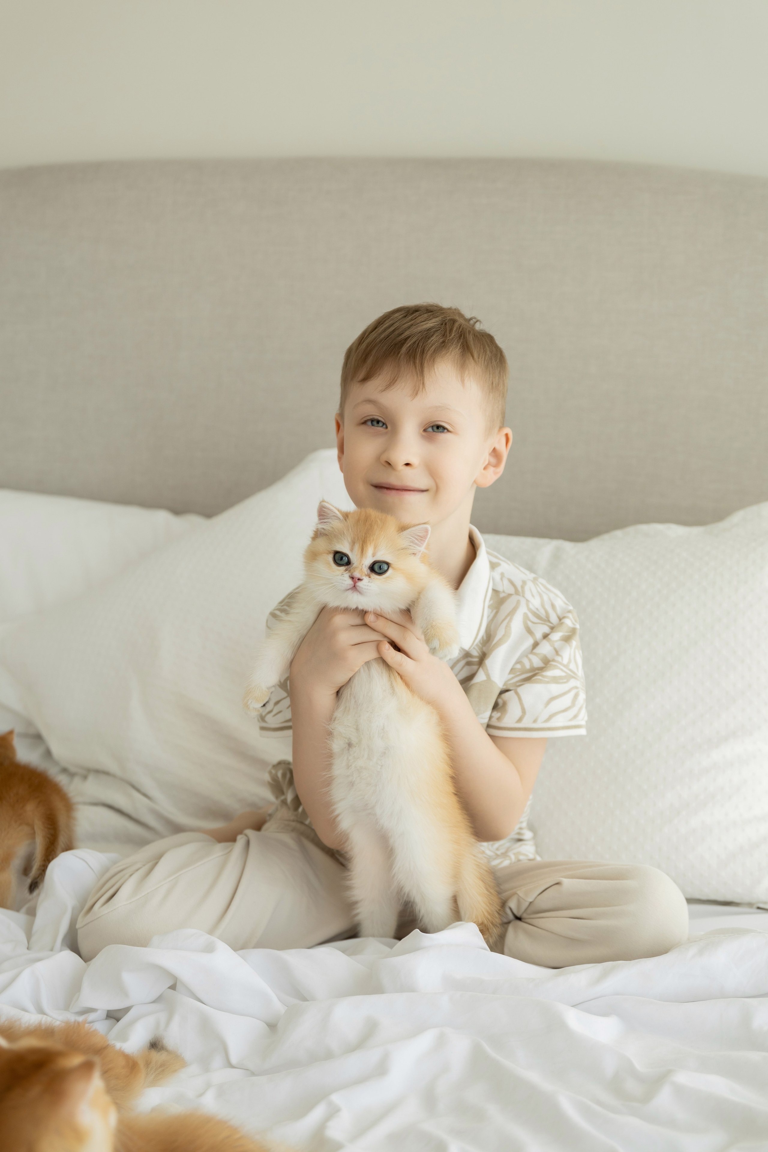 Семейная фотосессия с котятами. Семейный и свадебный фотограф в Санкт-Петербурге Татьяна Швыкова