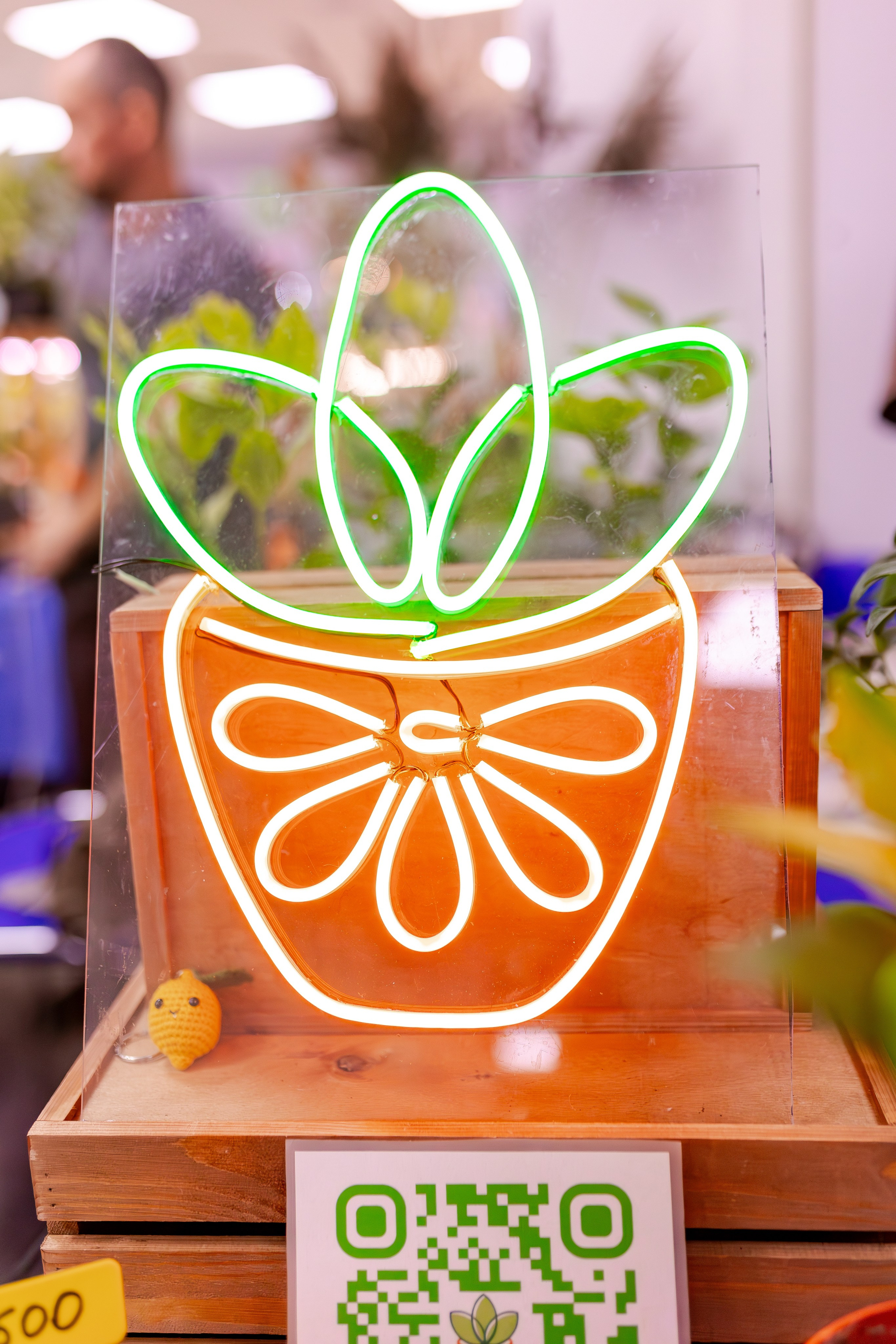 Орхидиум сентябрь 2025. Александра Куликова фотограф, Москва