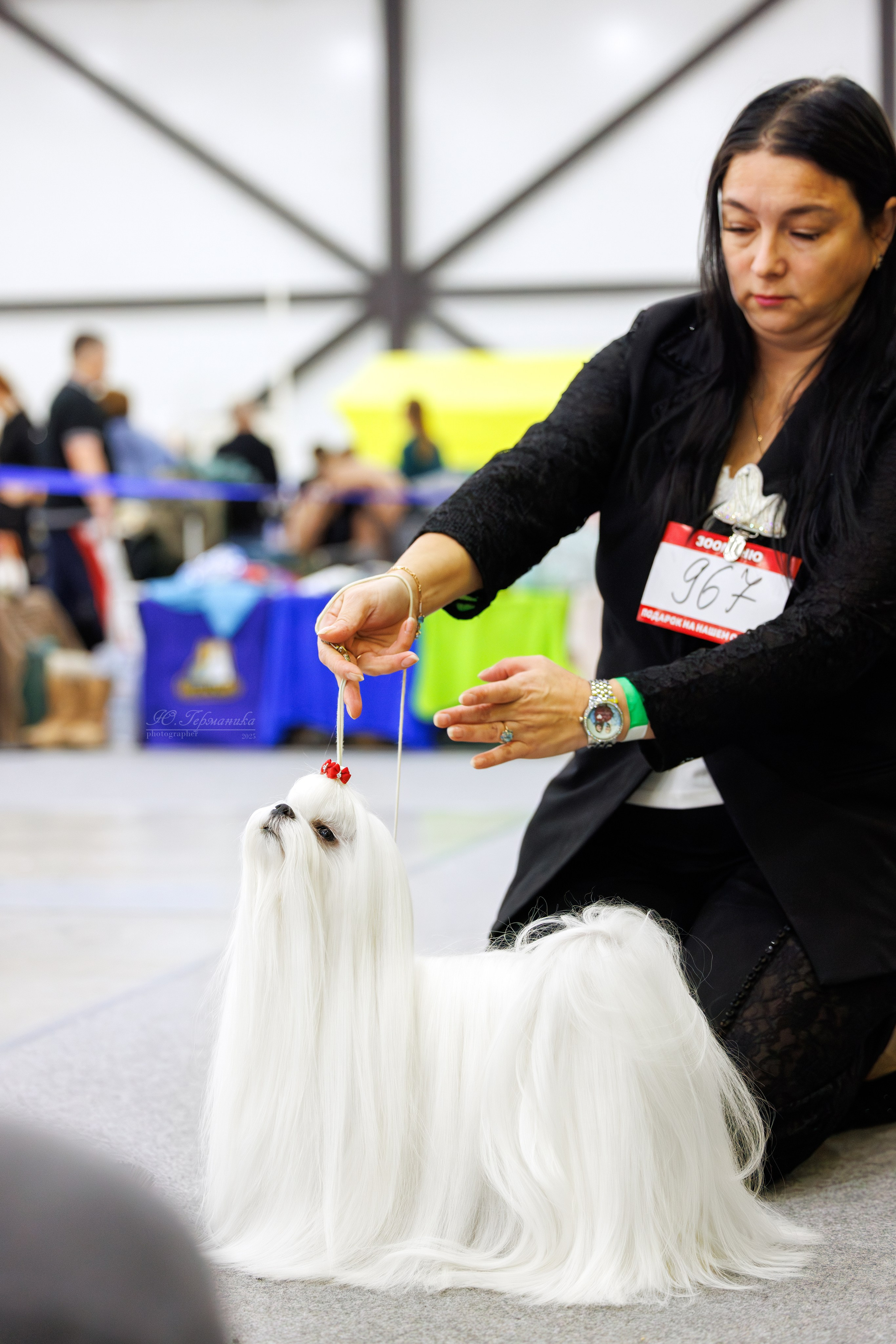 Питер 12-13.12.2025. Фотограф-анималист Юлия Германика