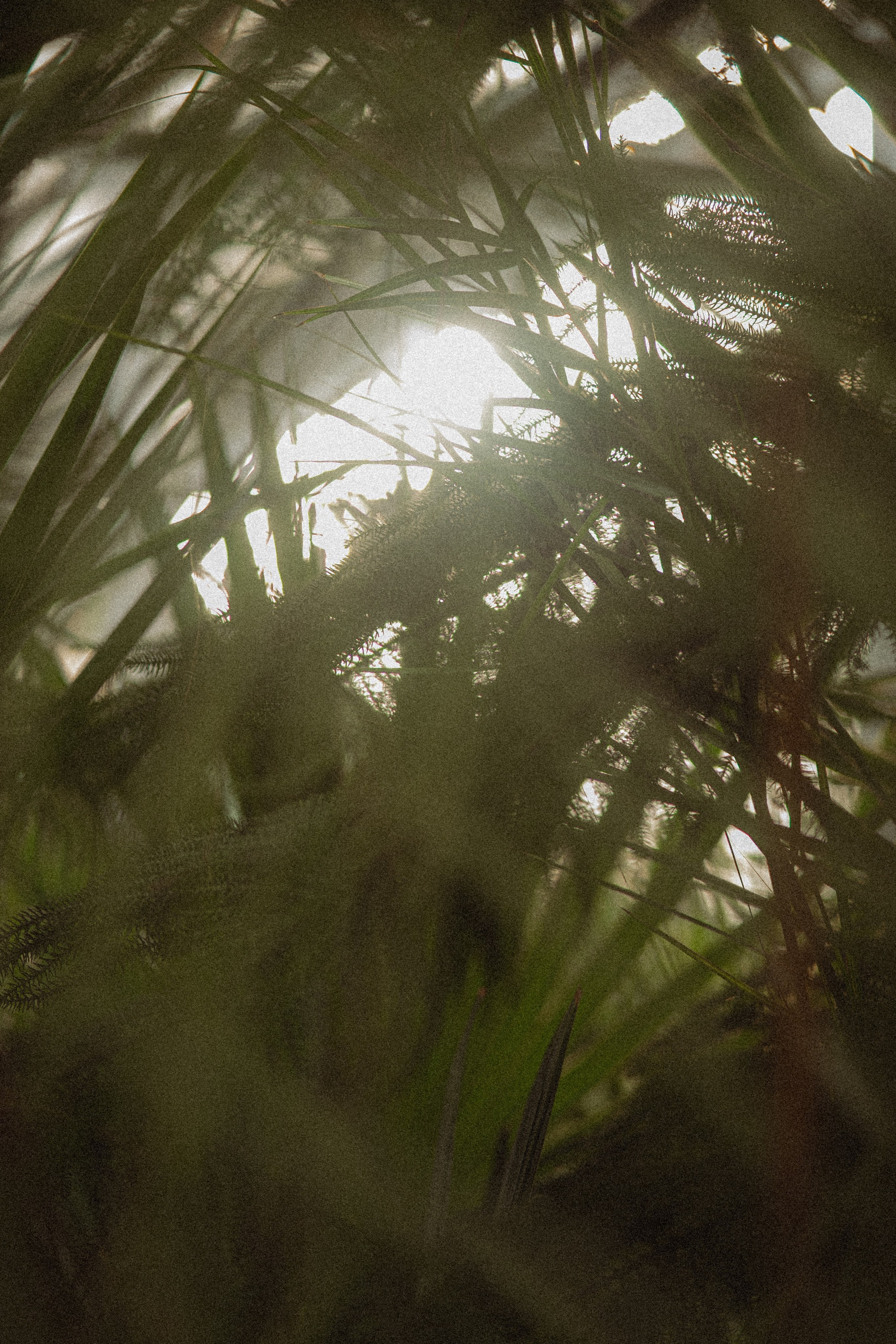 Ботанический сад. Фотограф Мария Зайчик