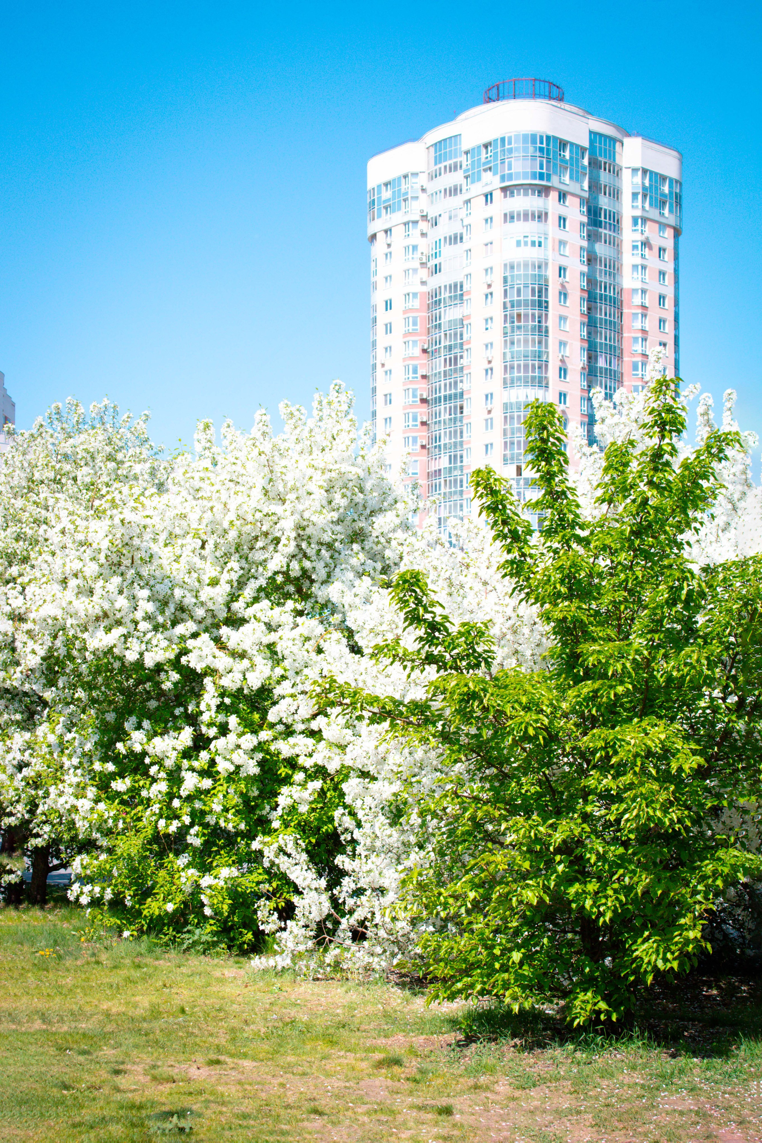Вдохновение. Бутакова Елена фотограф в Екатеринбурге