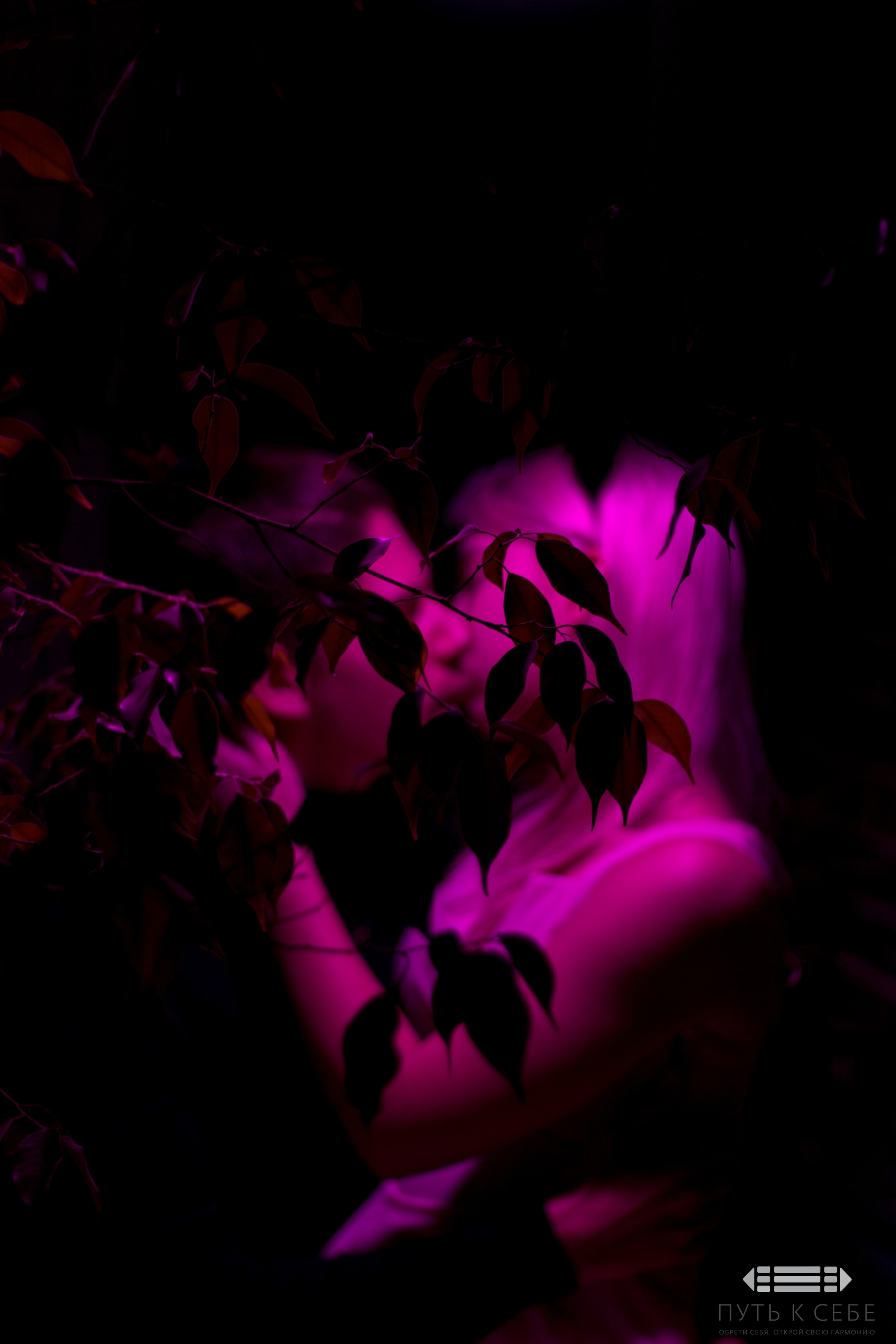 Путь к себе туры из Ростов-на-Дону