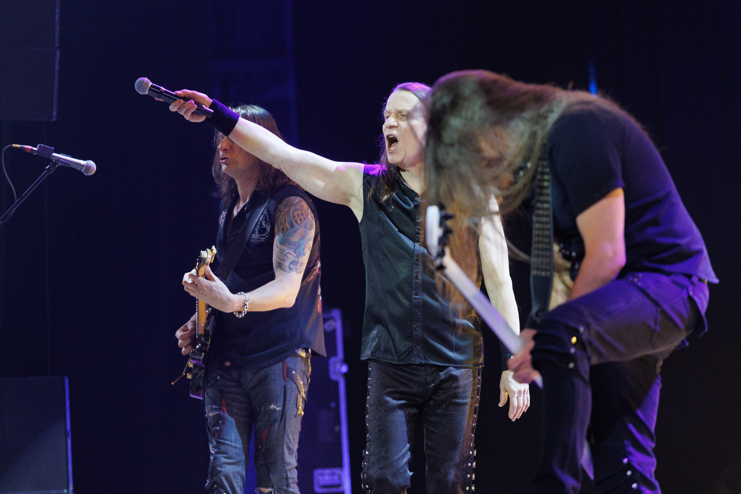 «КИПЕЛОВ». Photomantis