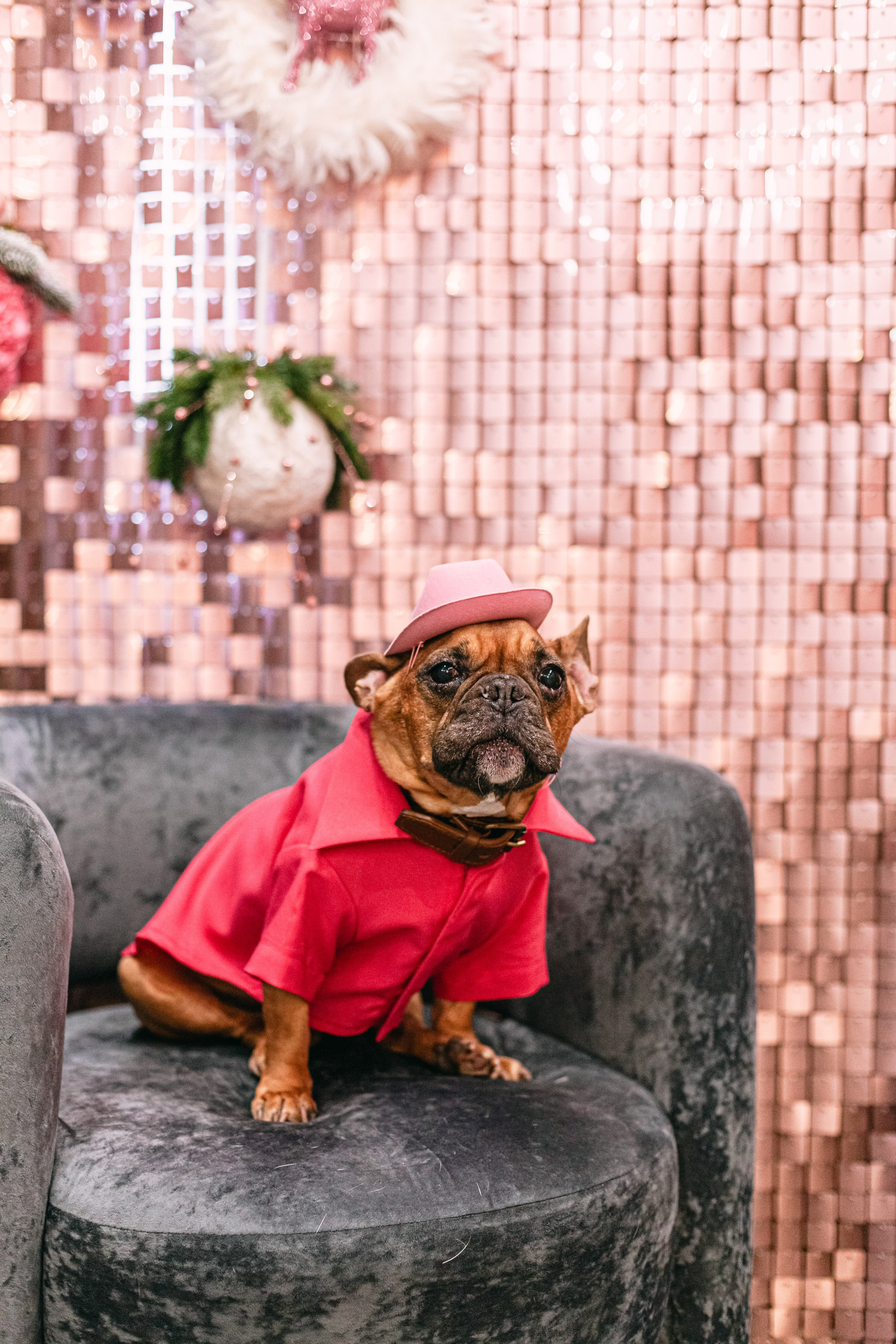 Бульёлка 2024. Фотограф-анималист Татьяна Степанова