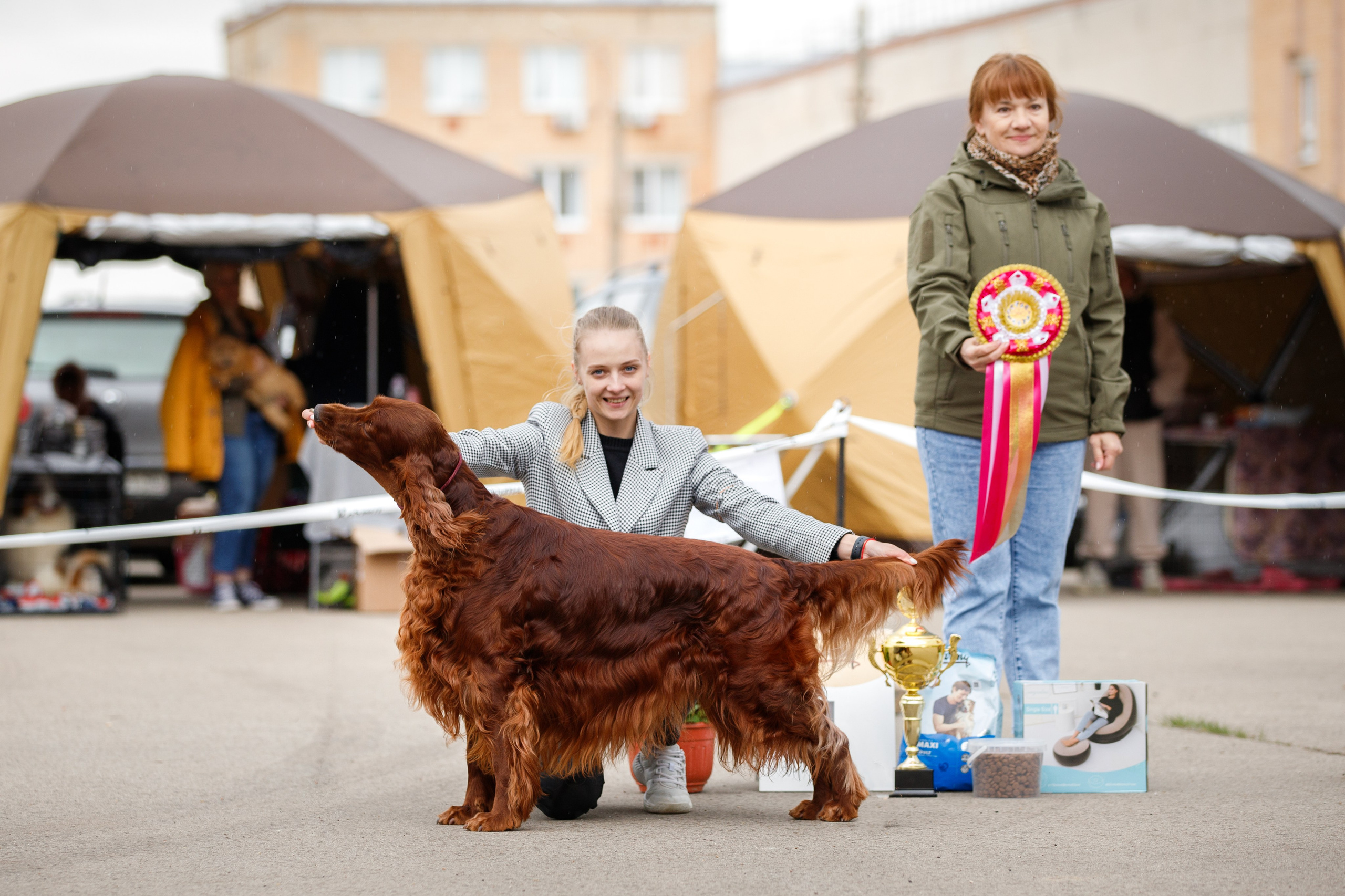 Выставки. Фотограф-анималист в Калуге Мария Шерскова