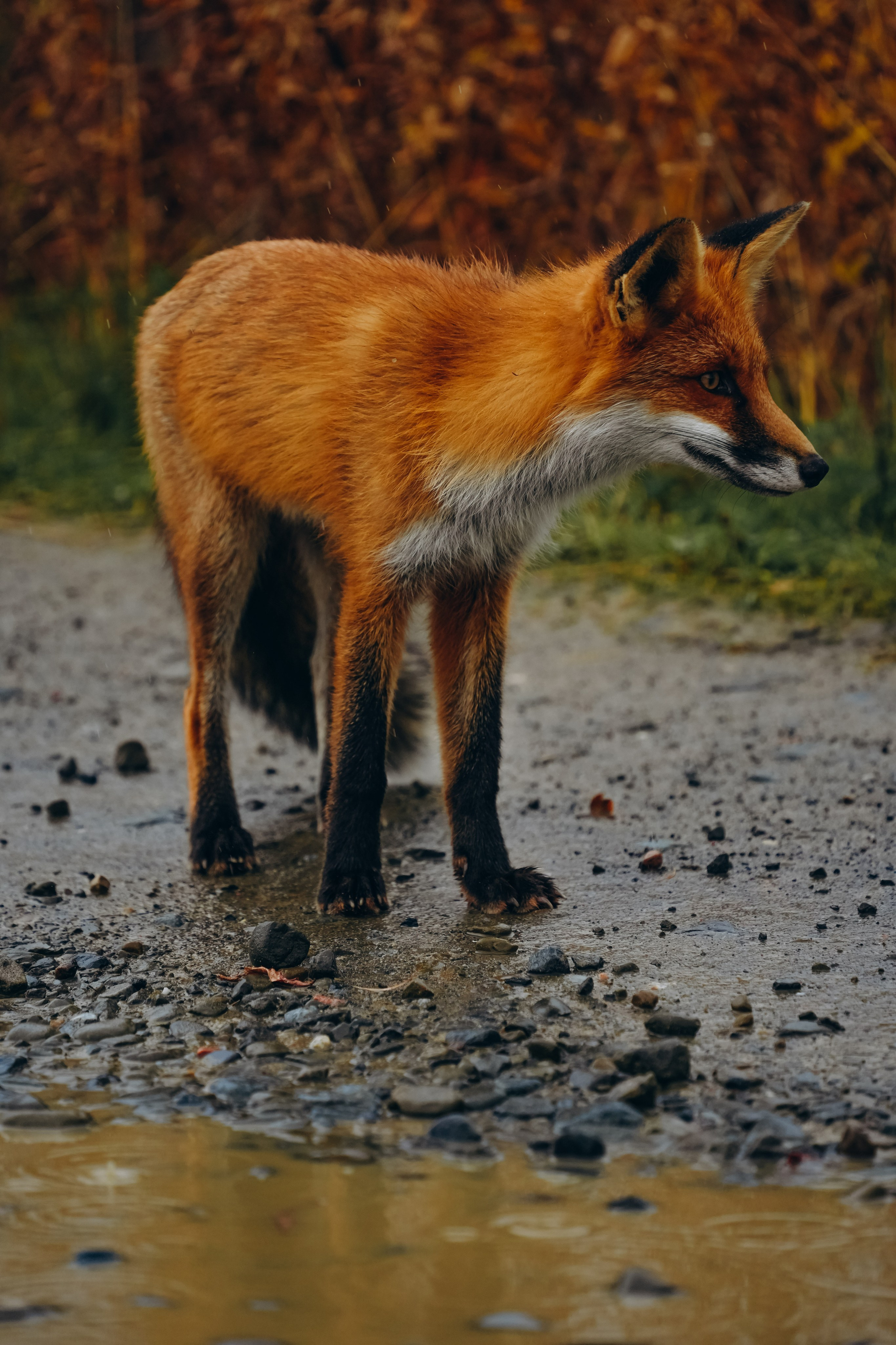 СЕВЕР. Event фотограф Степанова Александра
