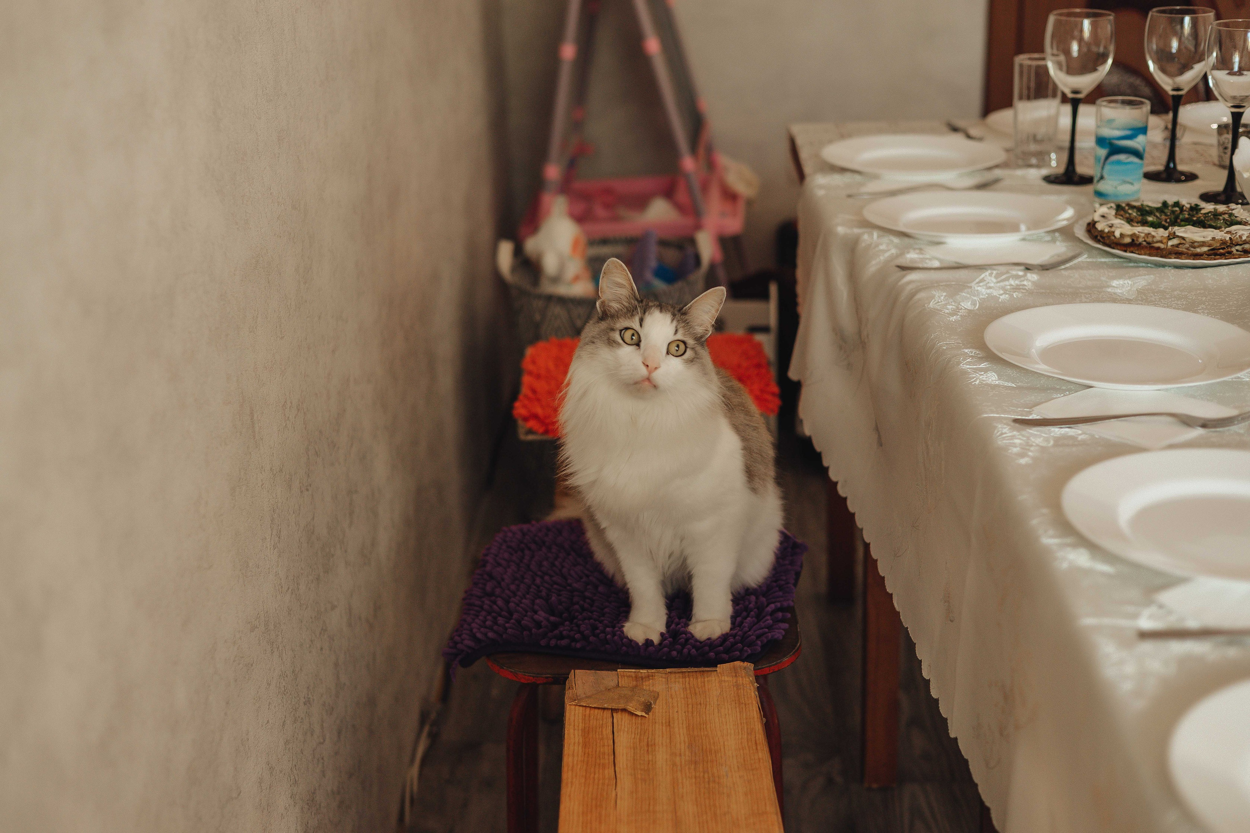 Выписка Дианы. Свадебный и семейный фотограф Пушкин Царское Село СПБ Питер Санкт-Петербург и Рязань Ольга Козлова