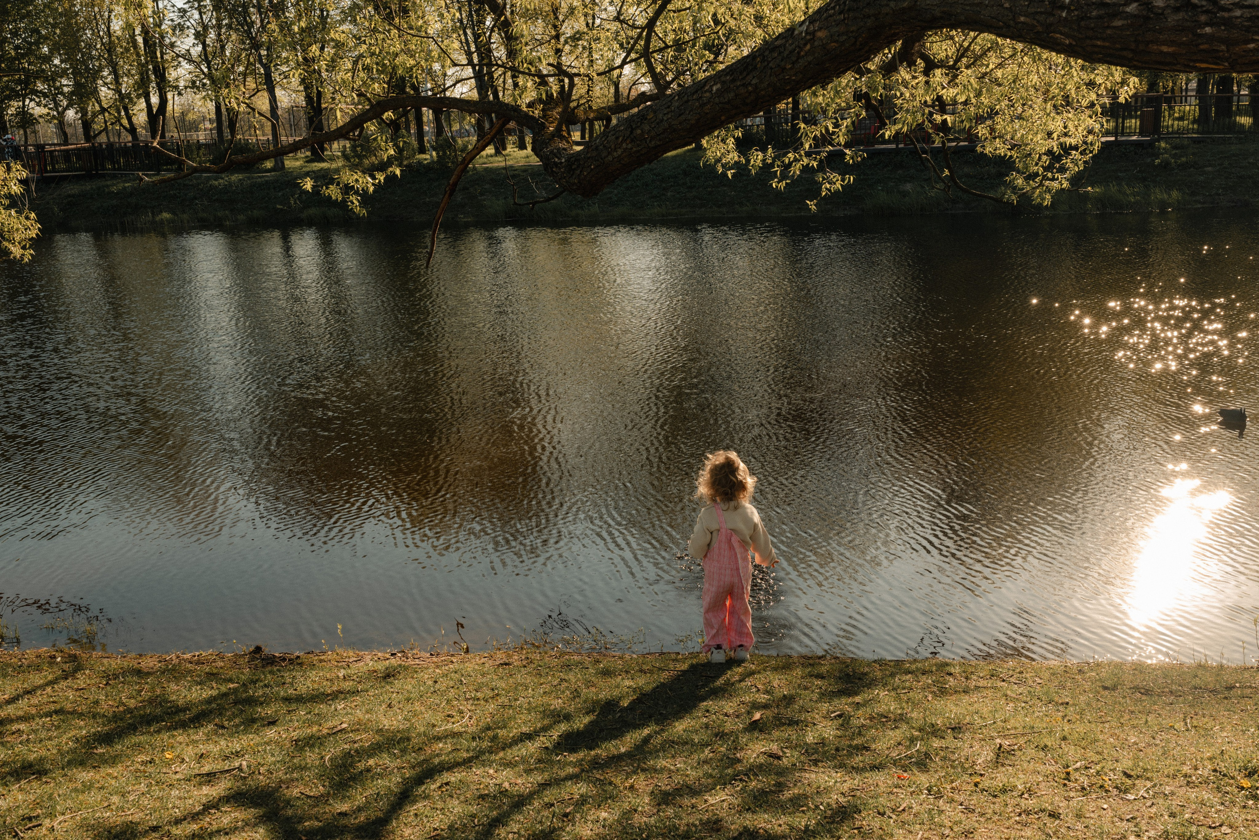 Жизнь уже не будет прежней. Фотограф Ника Лиепа