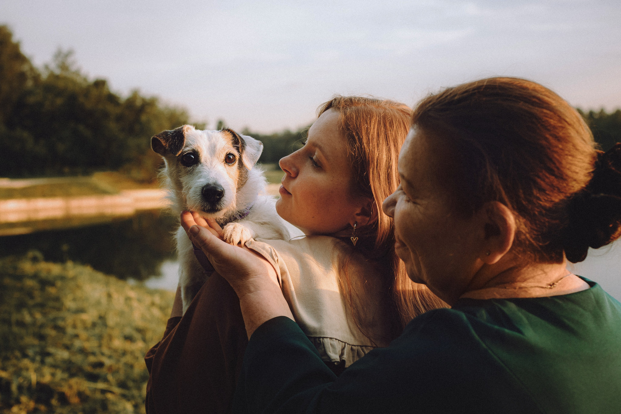 Фифа, Кнопка, Бублик и их семья