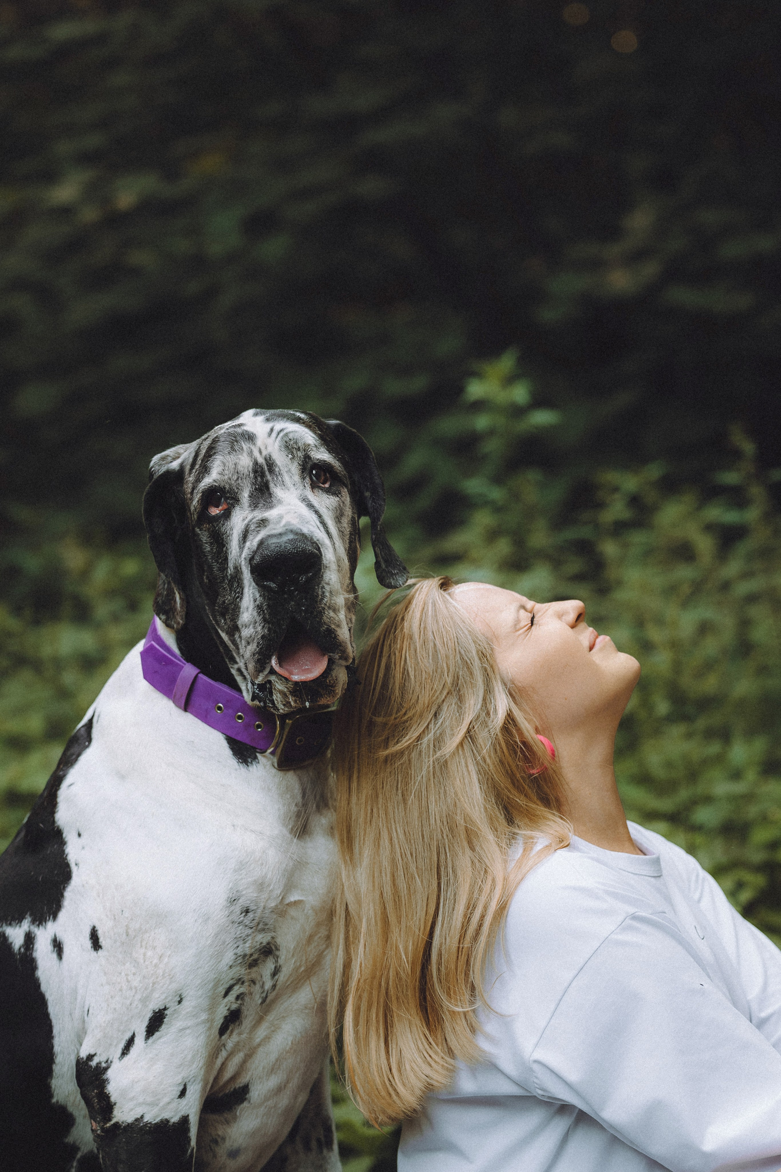 Катя, Андрей, Гектор, Ричи, Тортик и Трой