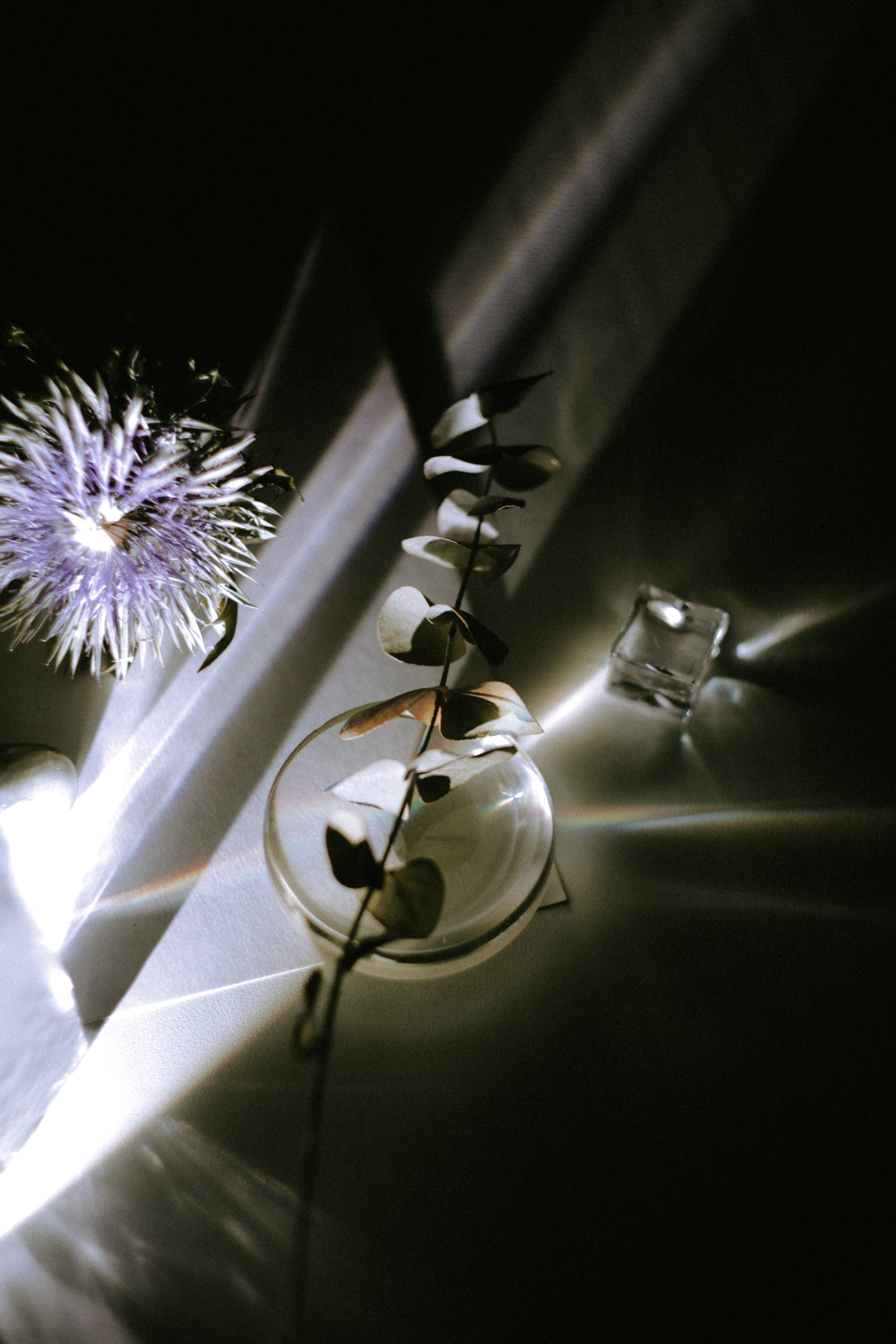 Вдохновение. Ph___tina