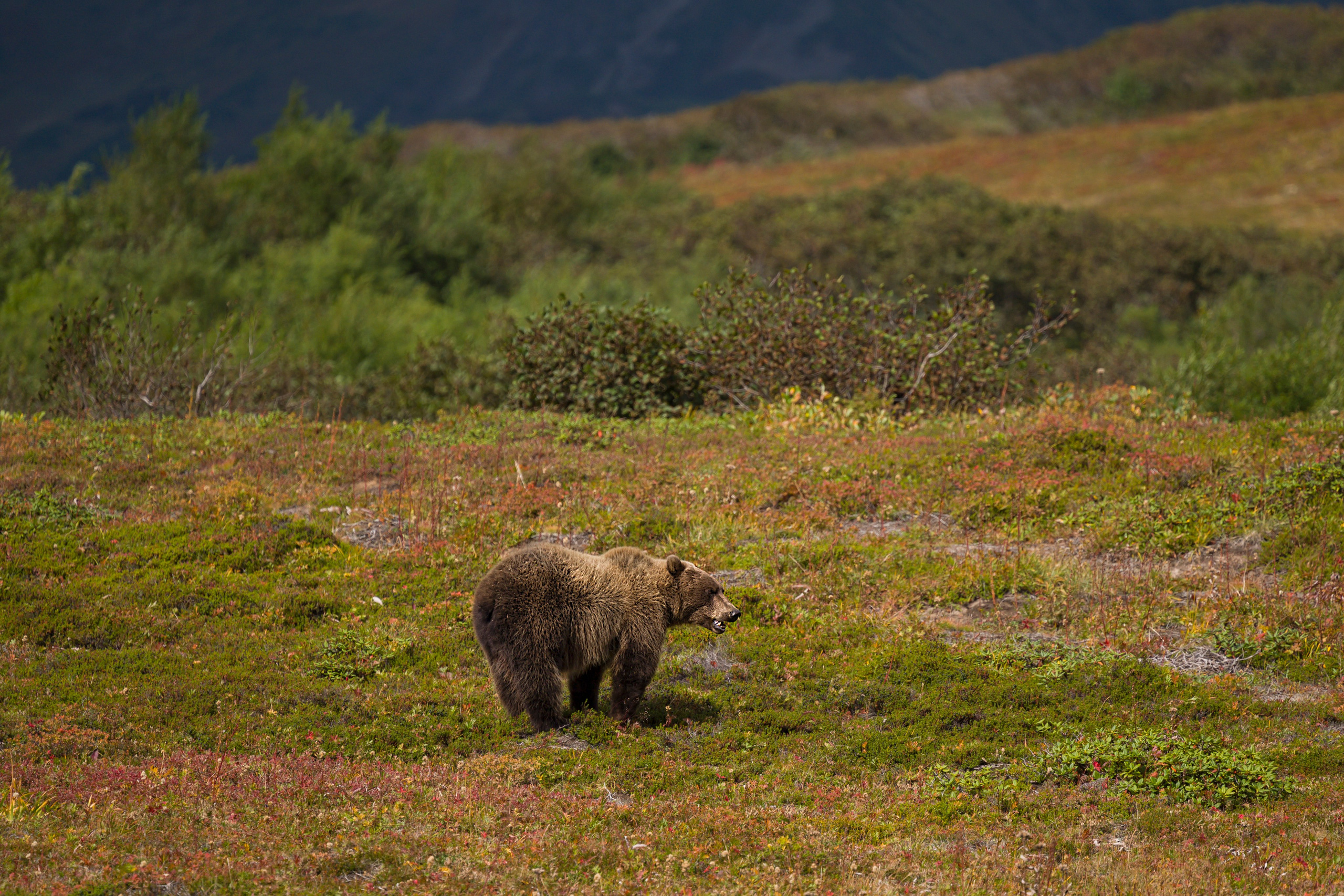 Камчатка. Портретный фотограф в Челябинске Катерина Руди