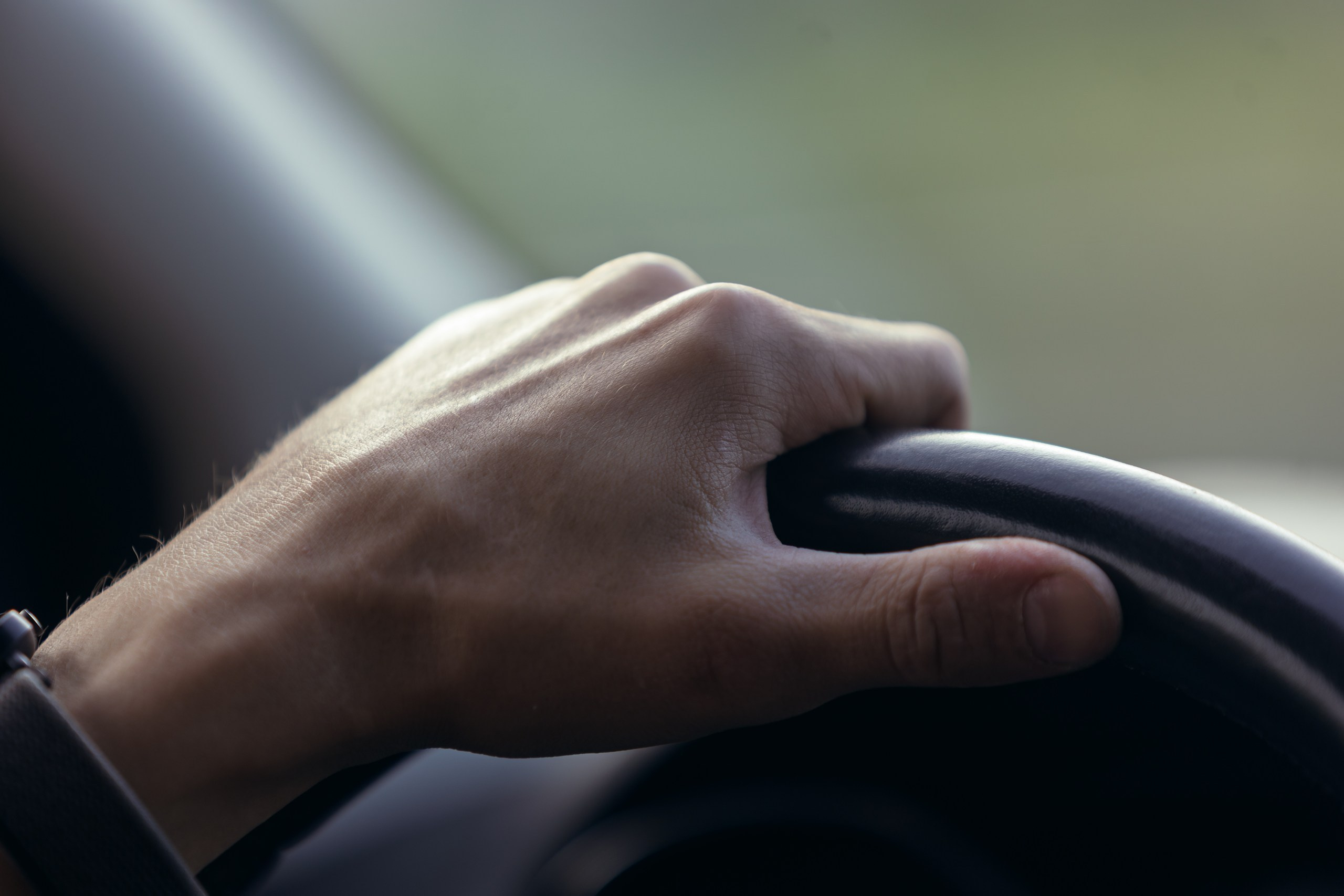 Кандалакшка. Фотограф анималист Никита Натальный