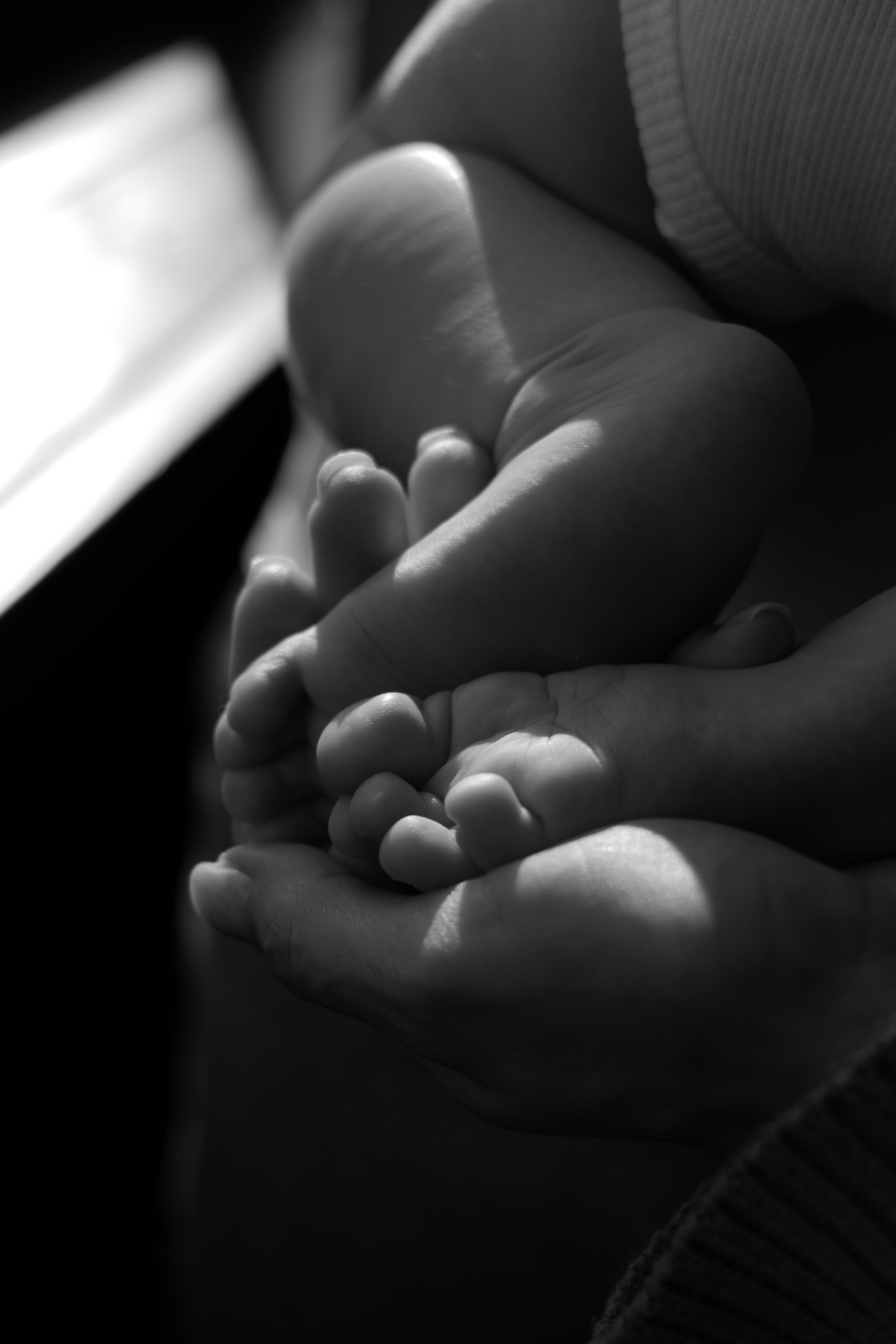 Студийная семейная фотосессия. Фотограф видеограф Ольга Василевская