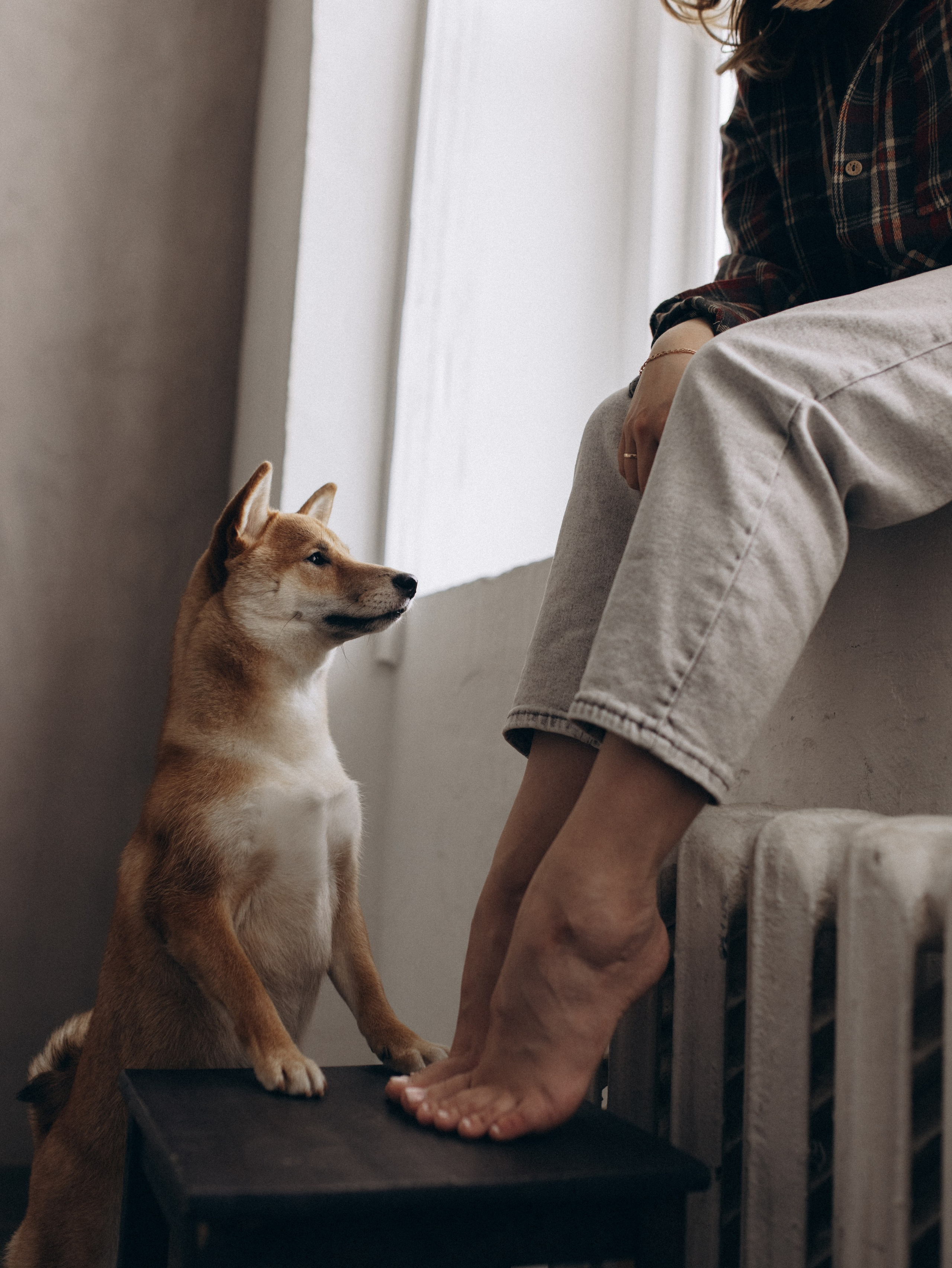 Мика и Настя. Фотограф-анималист в Москве Кириллова Татьяна