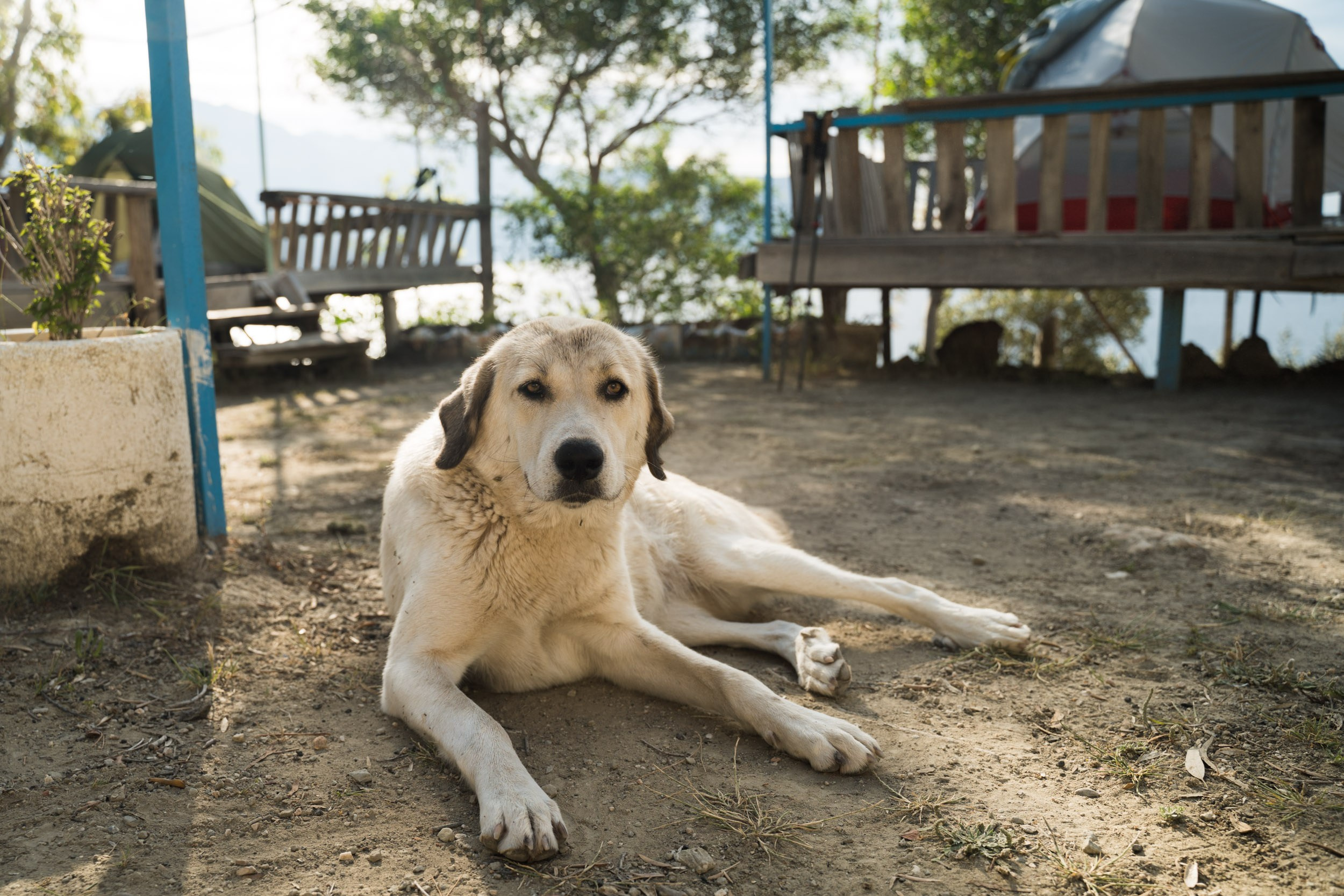 Турция. Западная Ликийская тропа. Фотограф в поход и восхождение на Эльбрус Игорь Косарев