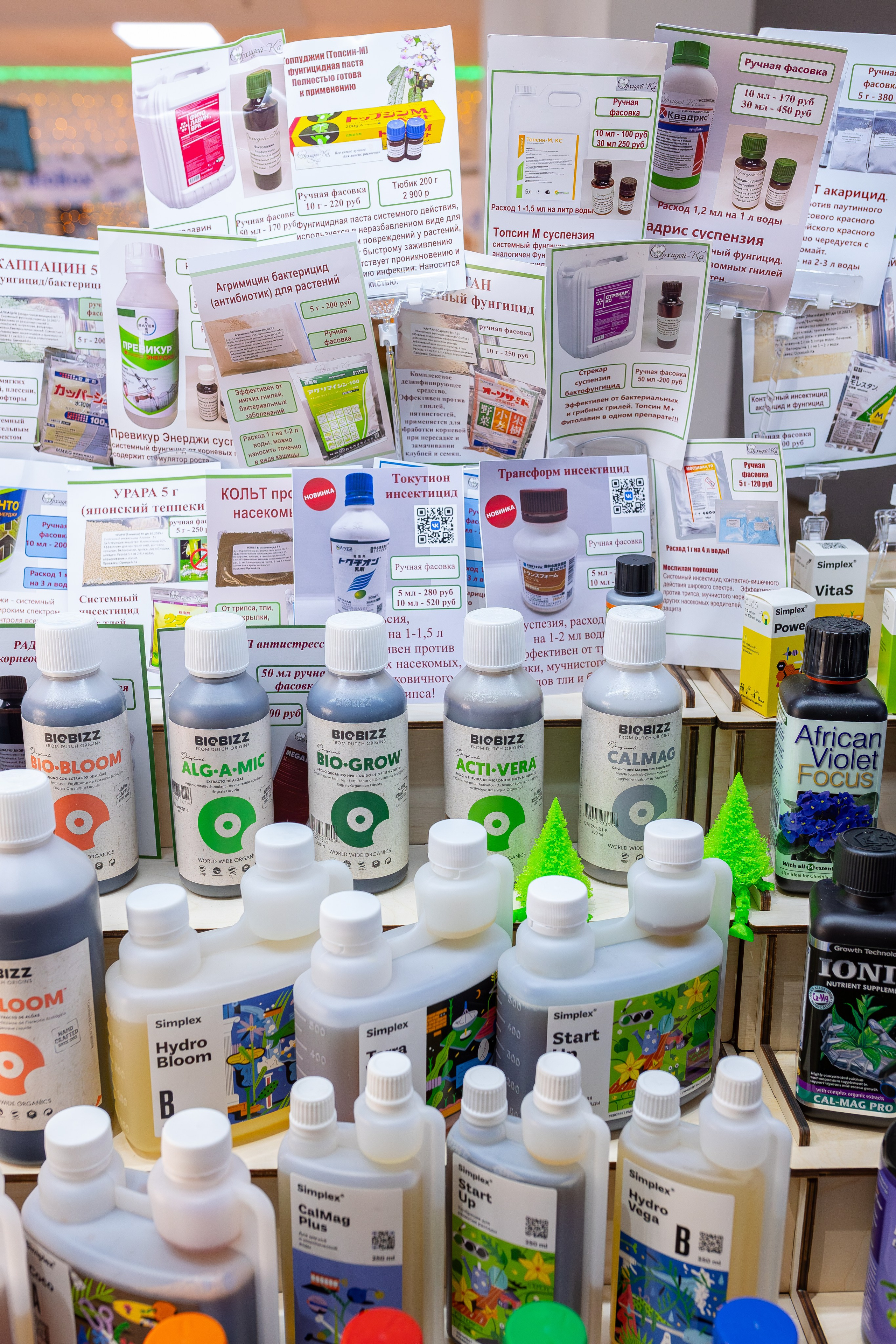 Орхидиум 12.2025. Александра Куликова фотограф, Москва