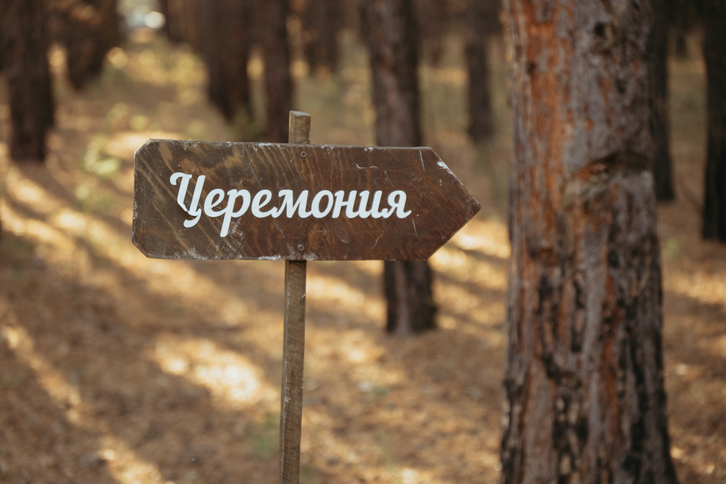 ДАРЬЯ И ВАДИМ. Свадебный и семейный фотограф в Абакане Василевский Алексей